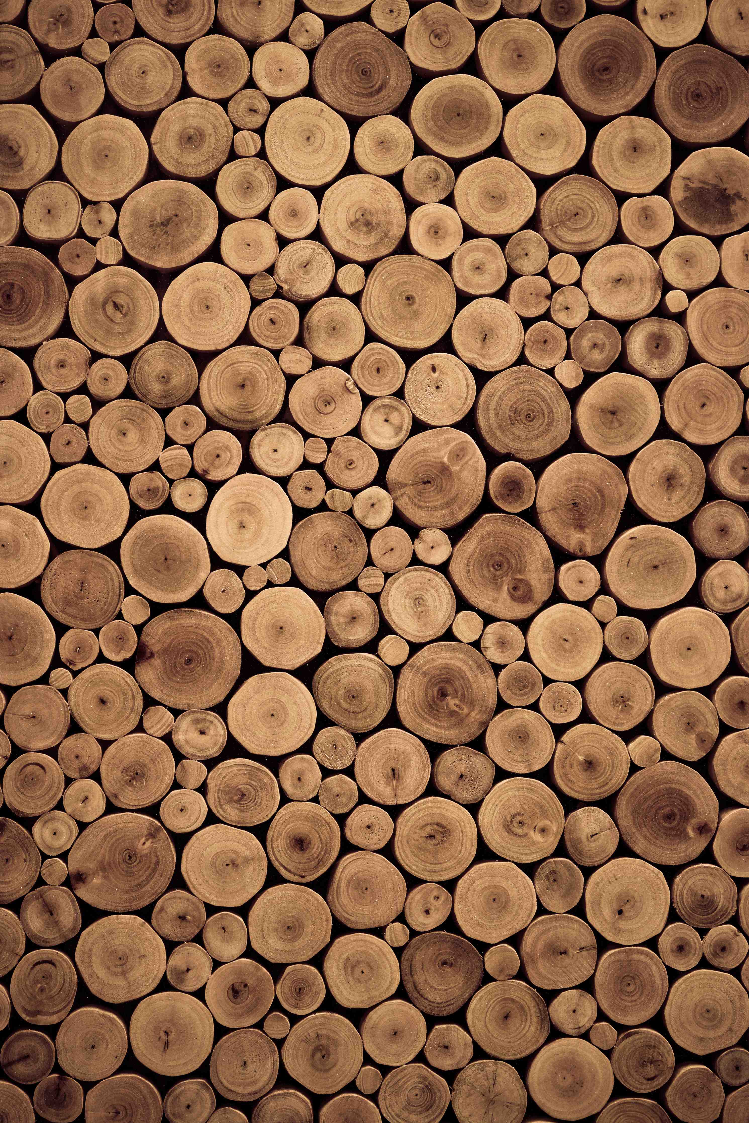 Duschrückwand-Holzstämme in warmem Braunton