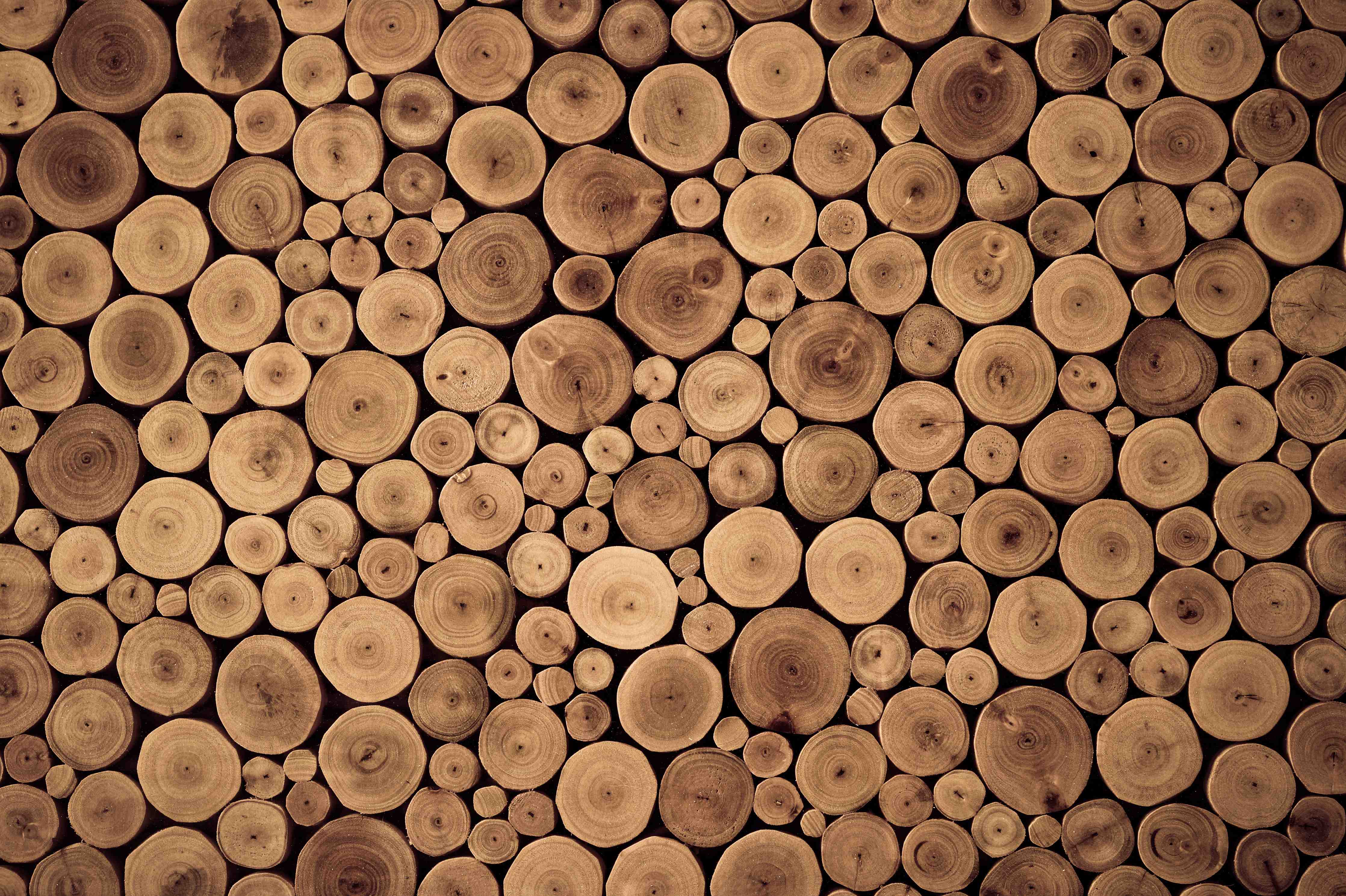 Duschrückwand-Holzstämme natürlicher Farbton