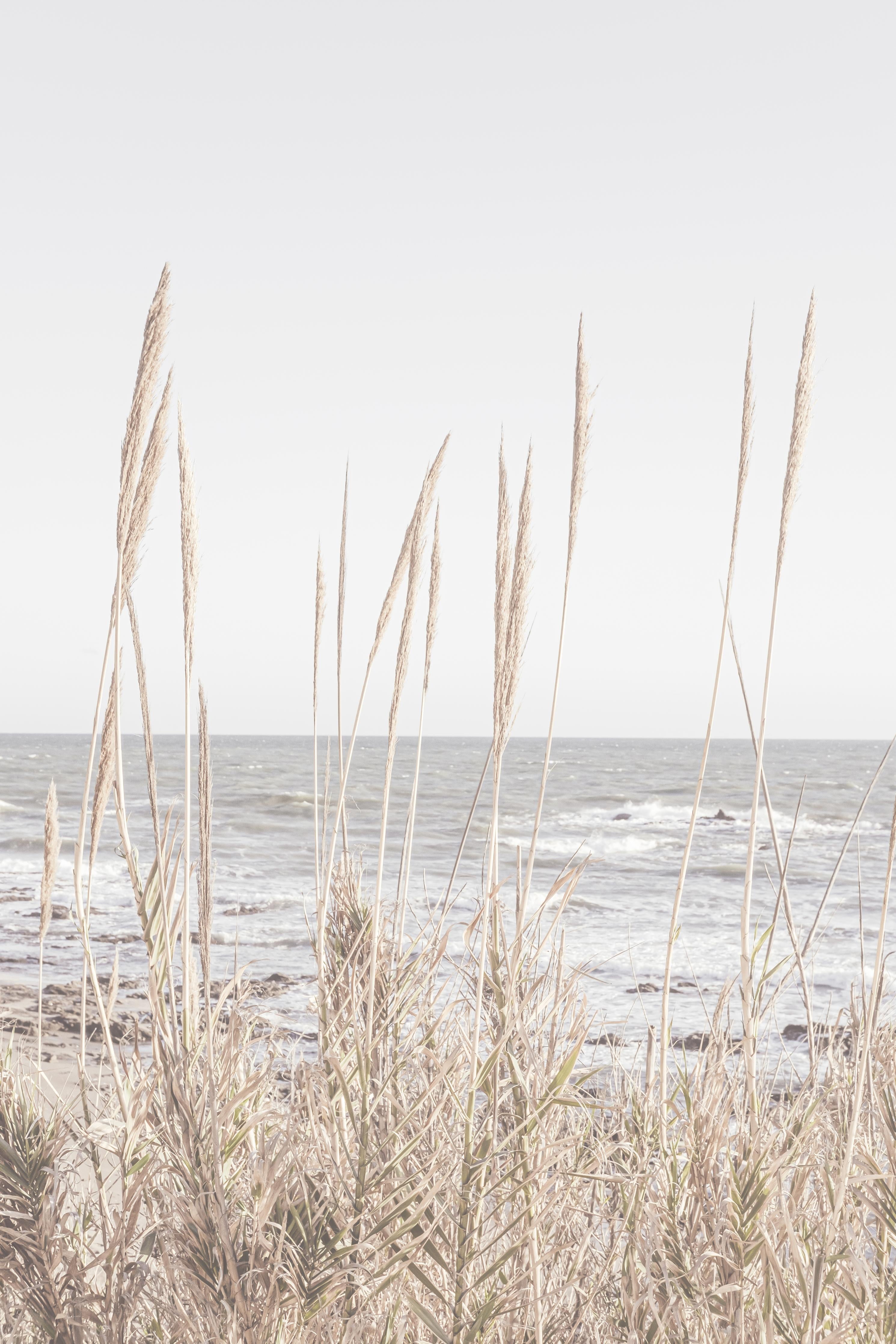 Duschrückwand-Küstenbild - Am Meer