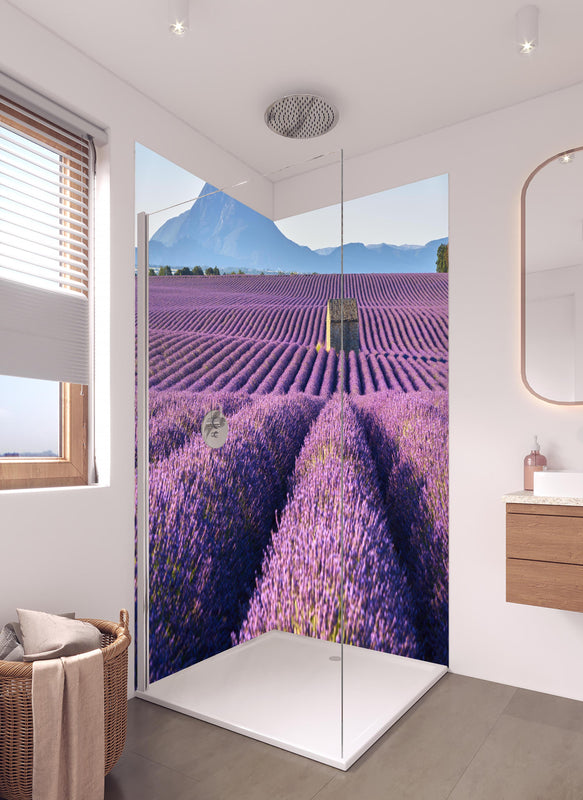 Duschrückwand - Lavendelfelder auf dem Plateau de Valensole  in hellem Badezimmer mit Regenduschkopf  - zweiteilige Eck-Duschrückwand