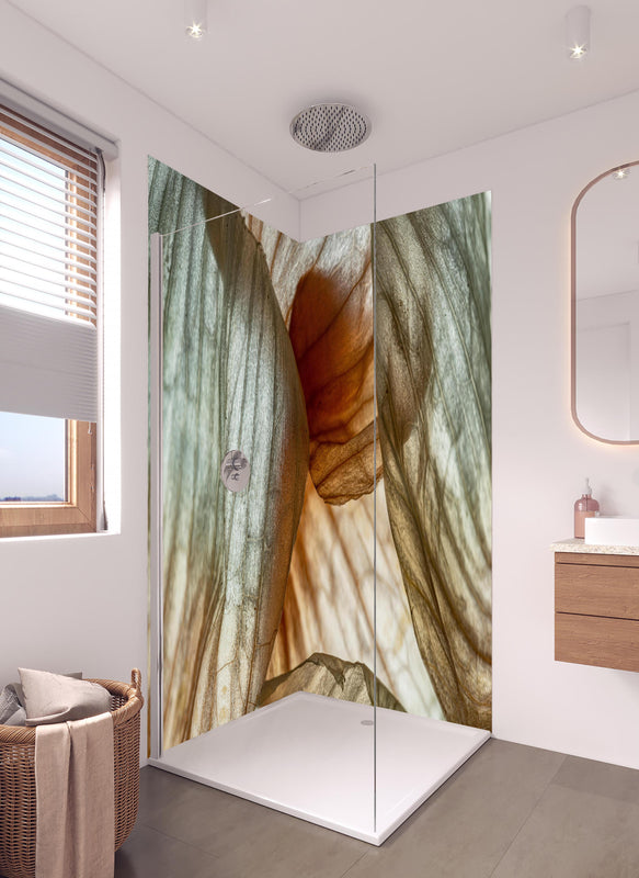 Duschrückwand - Makrofotografie der Schalenblatttextur einer Zwiebel in hellem Badezimmer mit Regenduschkopf  - zweiteilige Eck-Duschrückwand