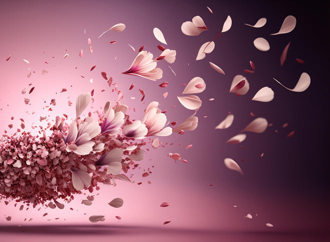 Duschrückwand - Malerische Sakura Blüten Explosion in Rosa