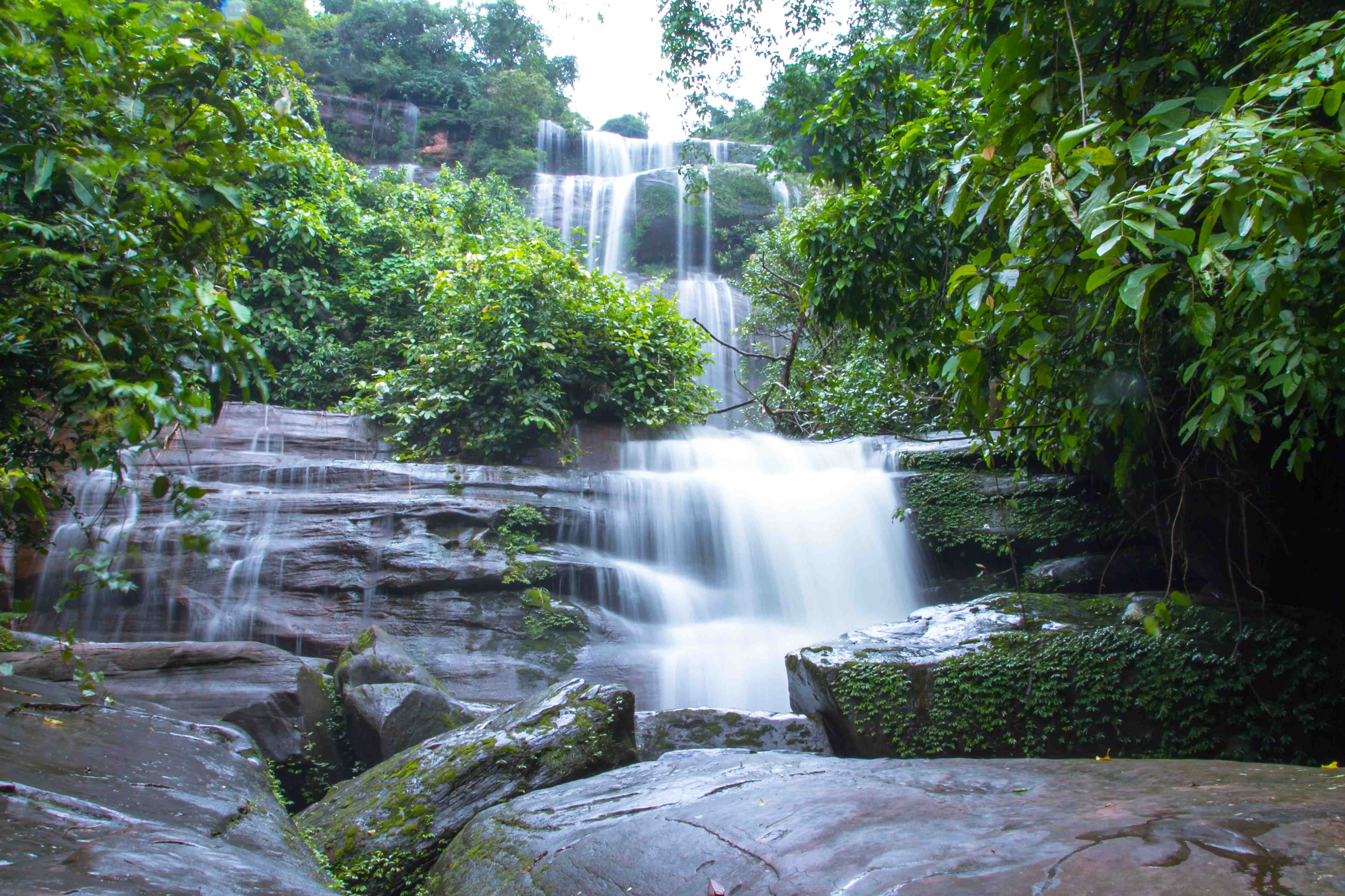 Duschrückwand-Malerischer Wasserfall in grünem Dschungel