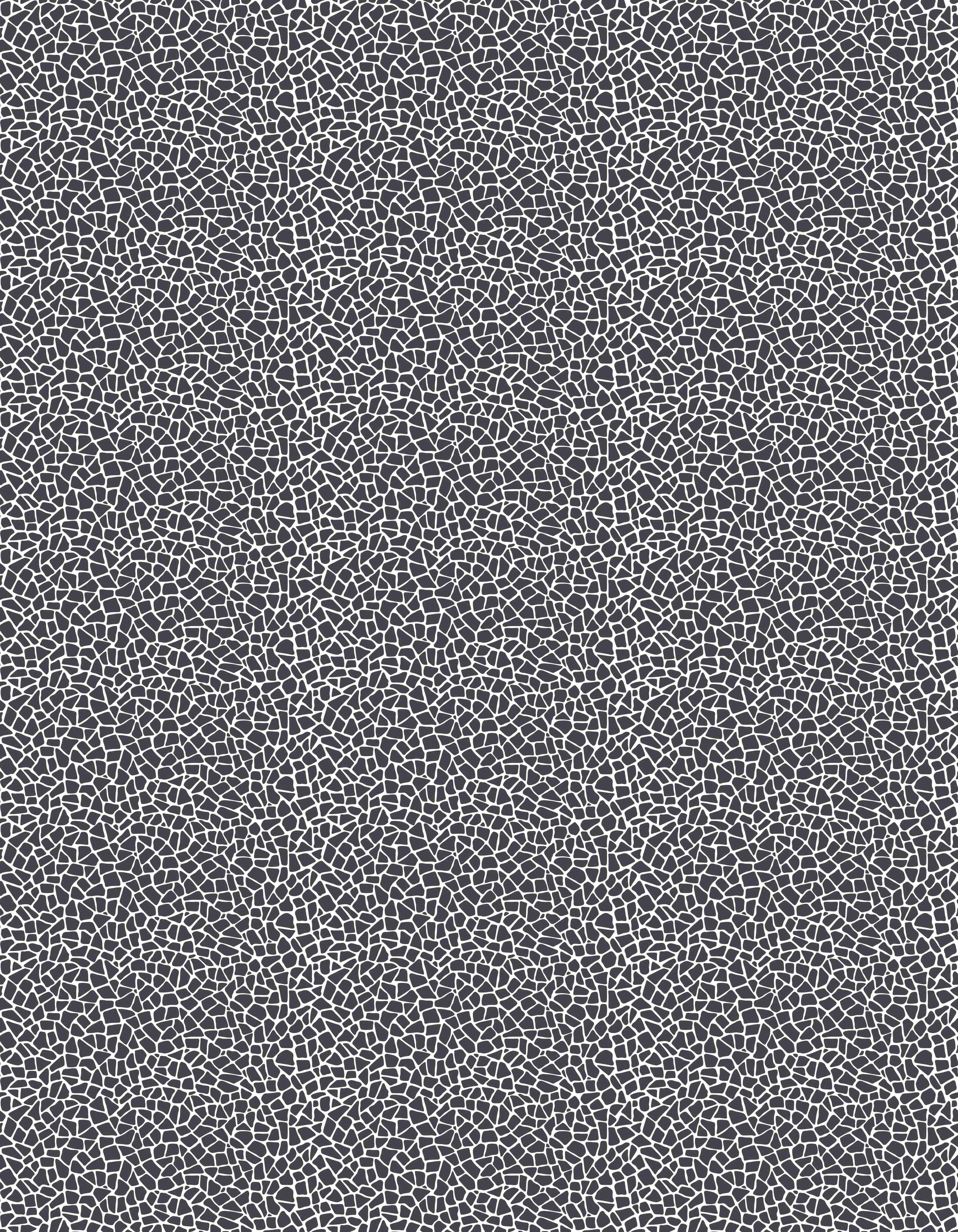 Duschrückwand-Moderne, strukturierte Schwarz-Weiß-Musterung