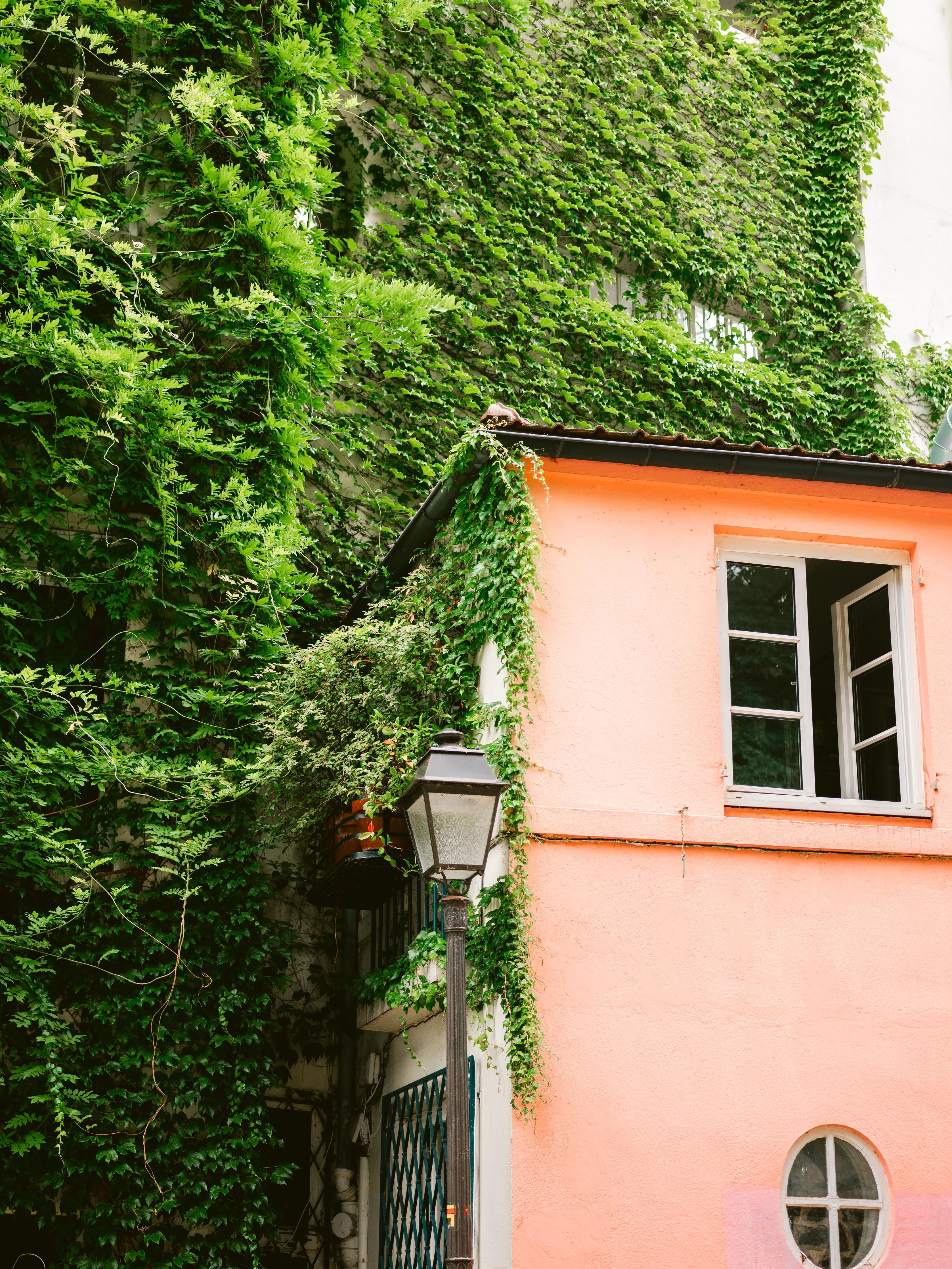 Duschrückwand-Montmartre Haus mit grüner Bepflanzung