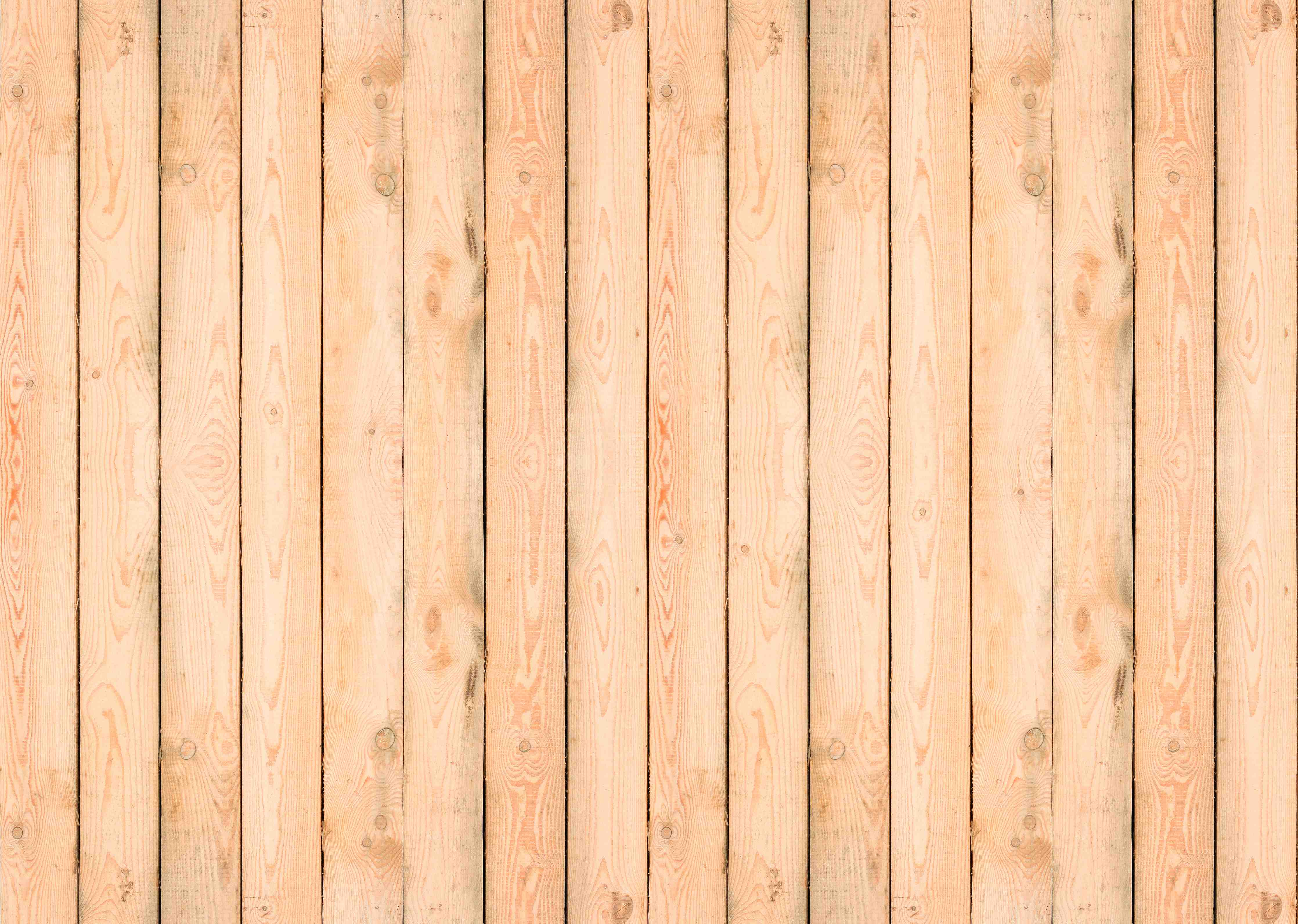 Duschrückwand-Natürliche Holzoptik mit feiner Maserung