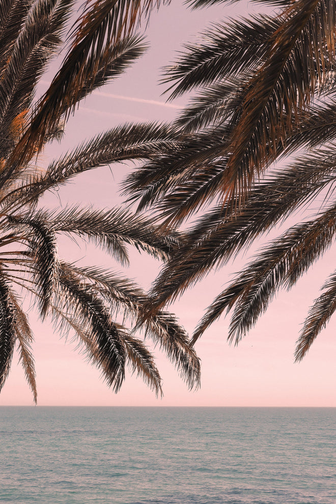 Duschrückwand - Palmen an der Küste