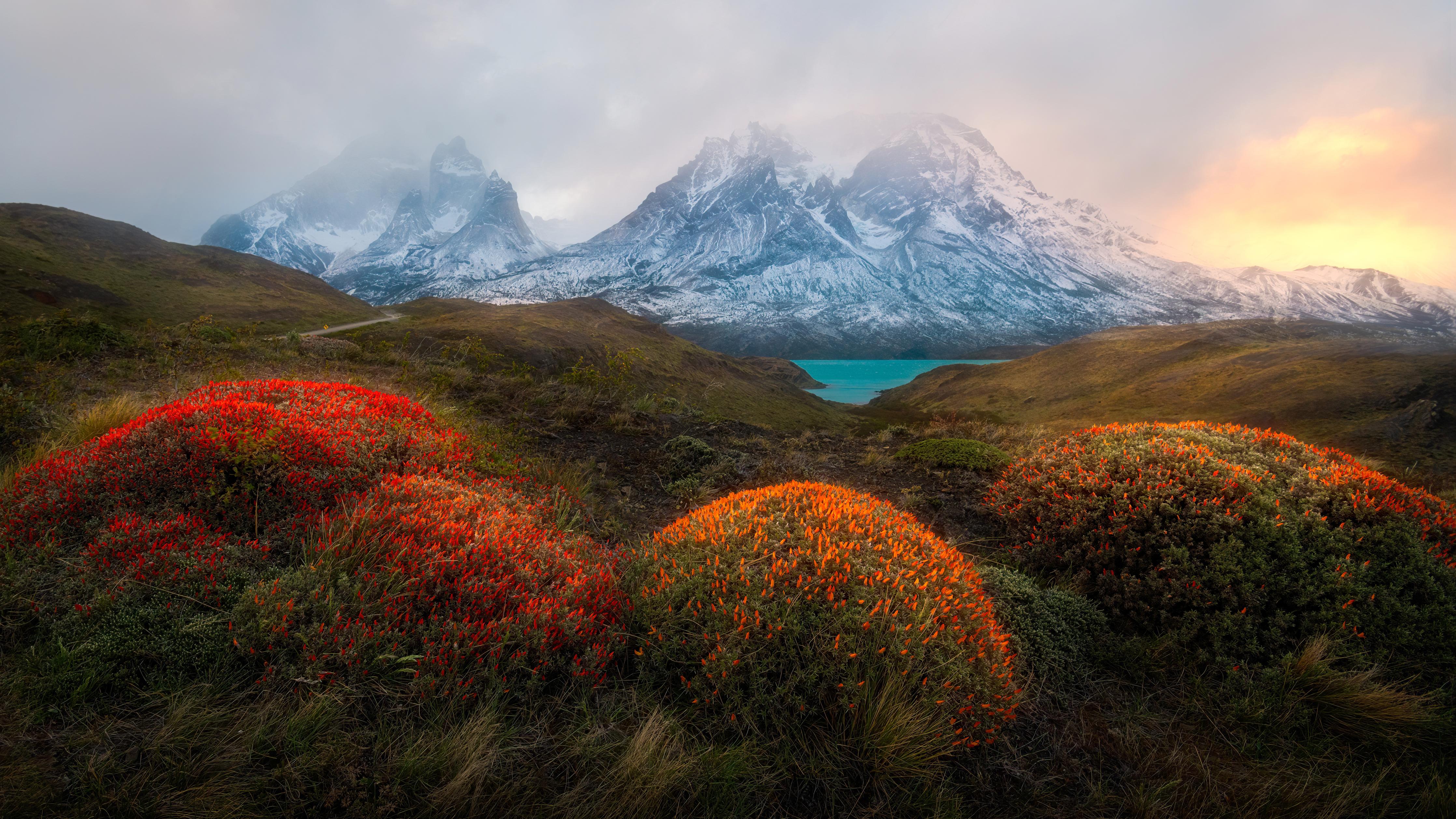 Duschrückwand-Patagonischer Frühling mit schneebedeckten Gipfeln