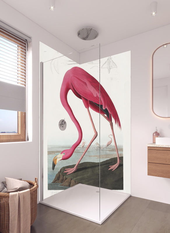 Duschrückwand - Pinker Flamingo - John James Audubon in hellem Badezimmer mit Regenduschkopf  - zweiteilige Eck-Duschrückwand