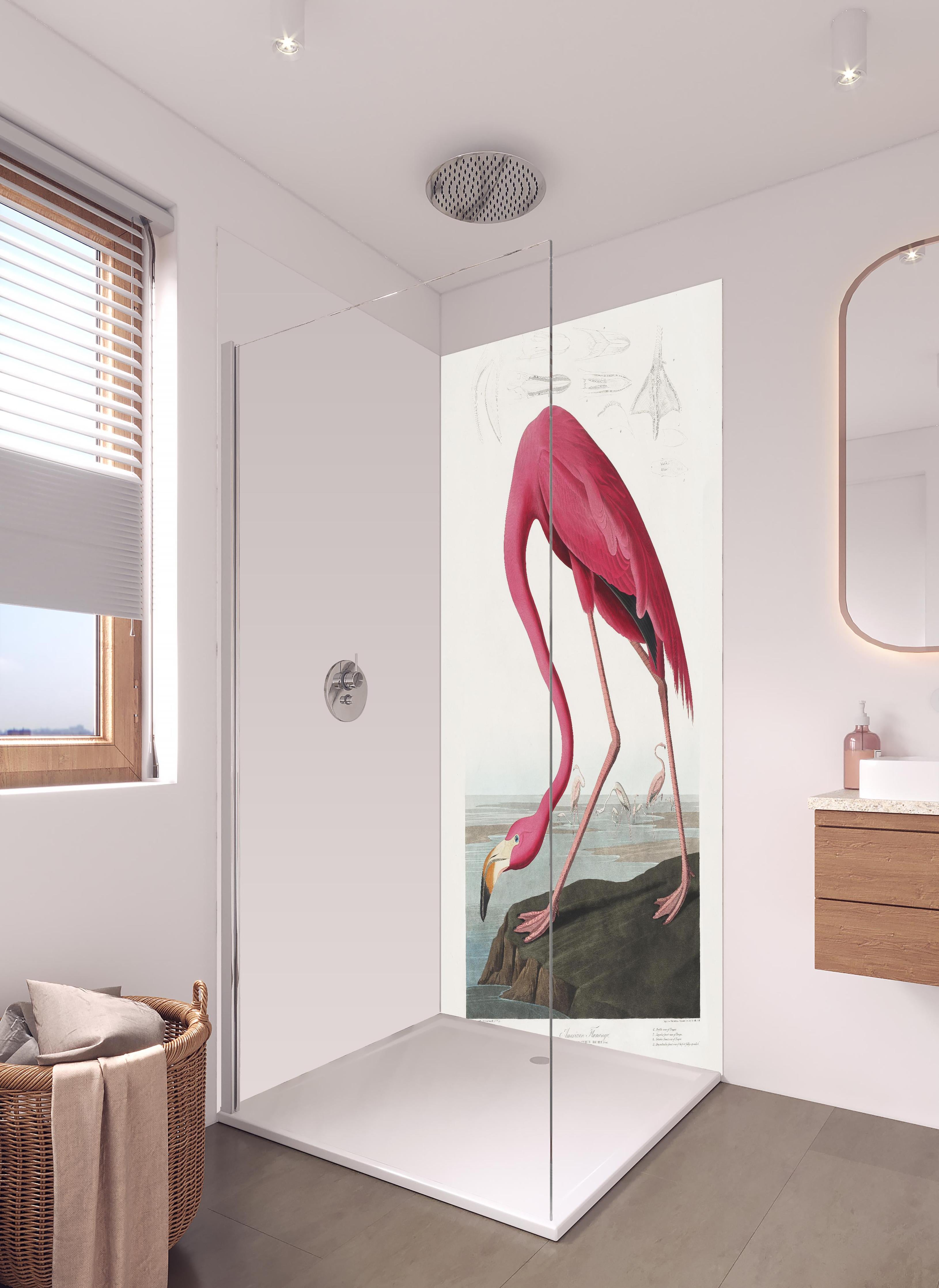 Duschrückwand - Pinker Flamingo - John James Audubon in hellem Badezimmer mit Regenduschkopf  - zweiteilige Eck-Duschrückwand