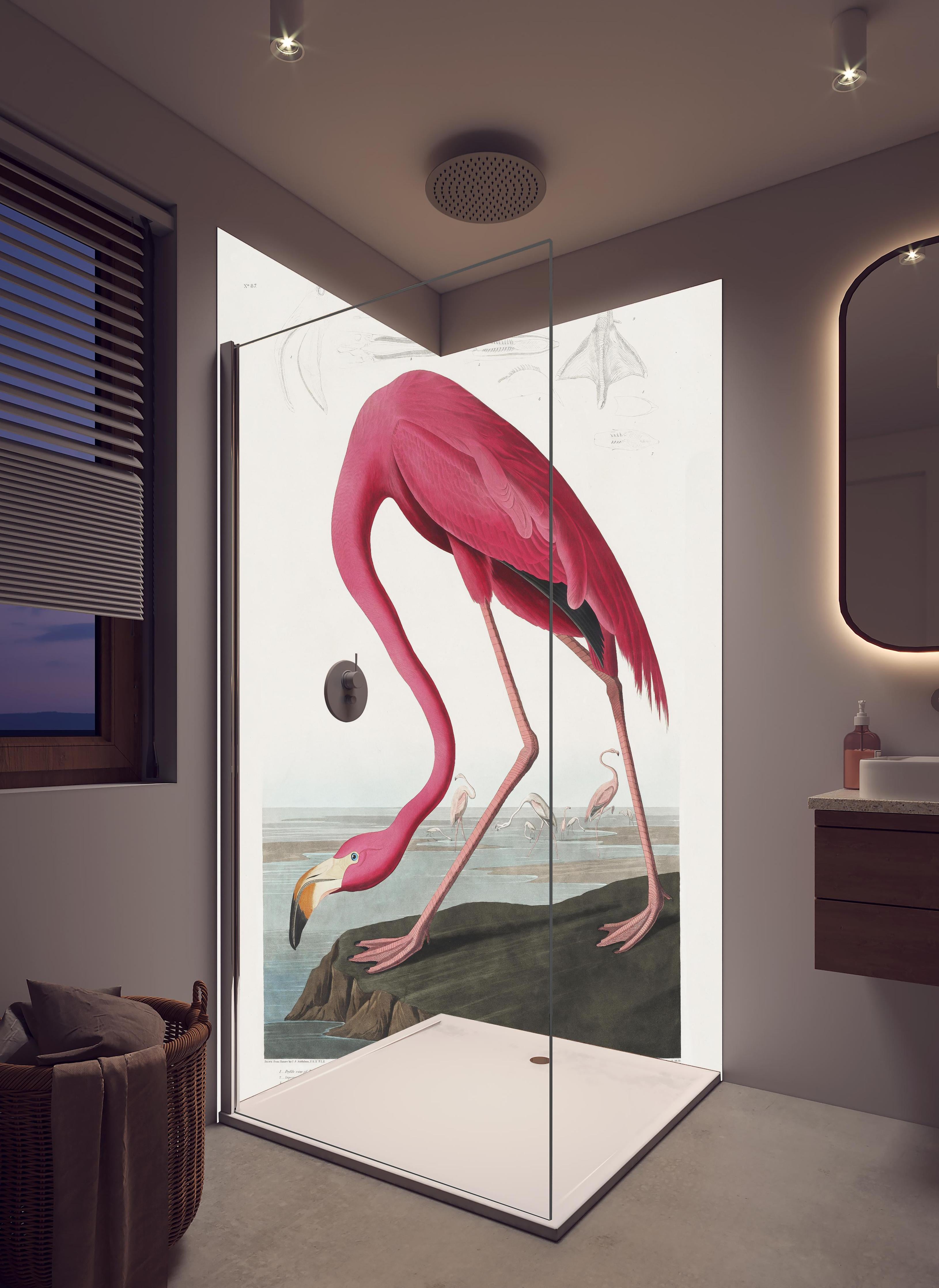 Duschrückwand - Pinker Flamingo - John James Audubon in hellem Badezimmer mit Regenduschkopf  - zweiteilige Eck-Duschrückwand