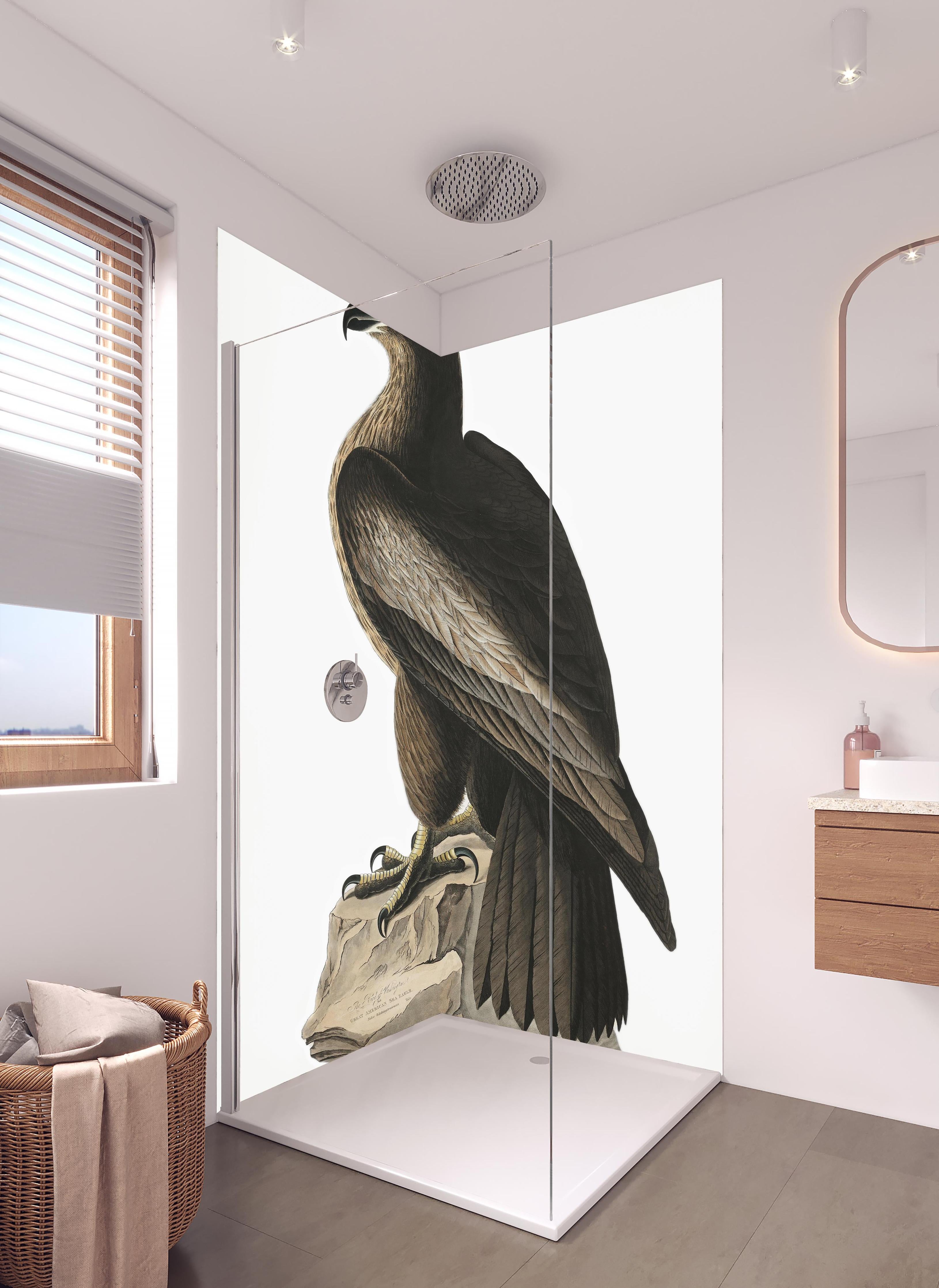 Duschrückwand - Riesenseeadler Portrait - John James Audubon in hellem Badezimmer mit Regenduschkopf  - zweiteilige Eck-Duschrückwand