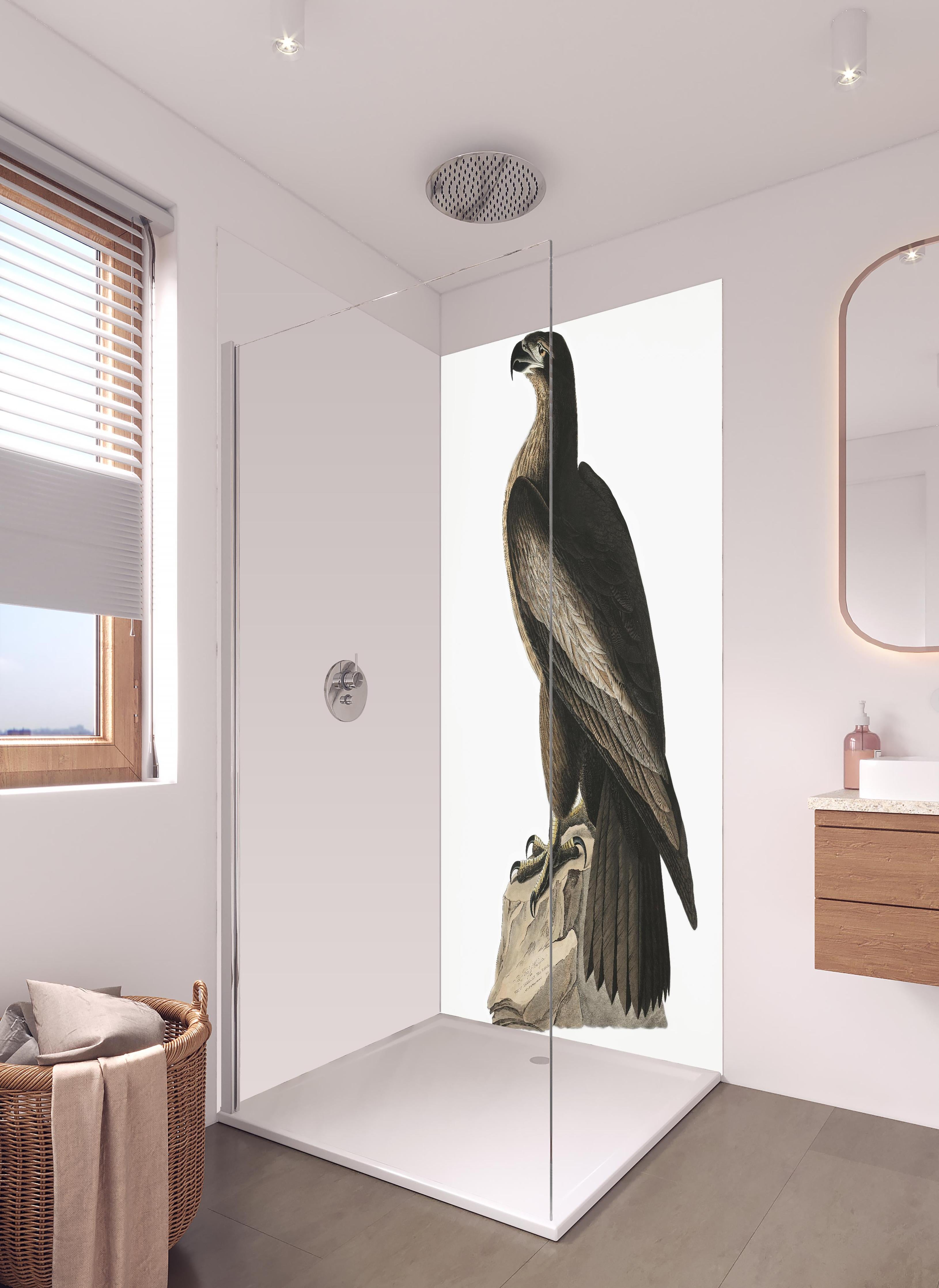 Duschrückwand - Riesenseeadler Portrait - John James Audubon in hellem Badezimmer mit Regenduschkopf  - zweiteilige Eck-Duschrückwand