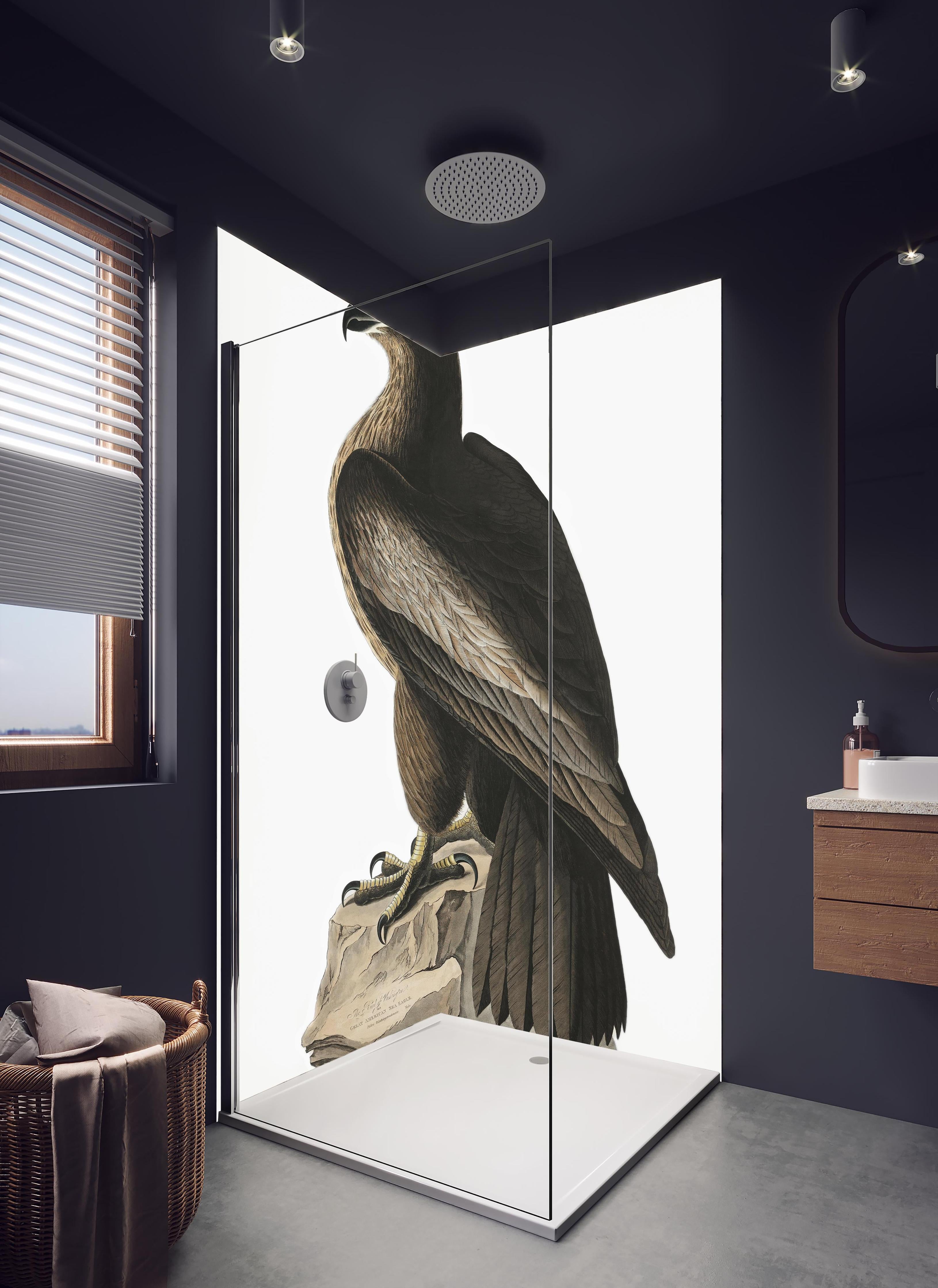 Duschrückwand - Riesenseeadler Portrait - John James Audubon in hellem Badezimmer mit Regenduschkopf  - zweiteilige Eck-Duschrückwand