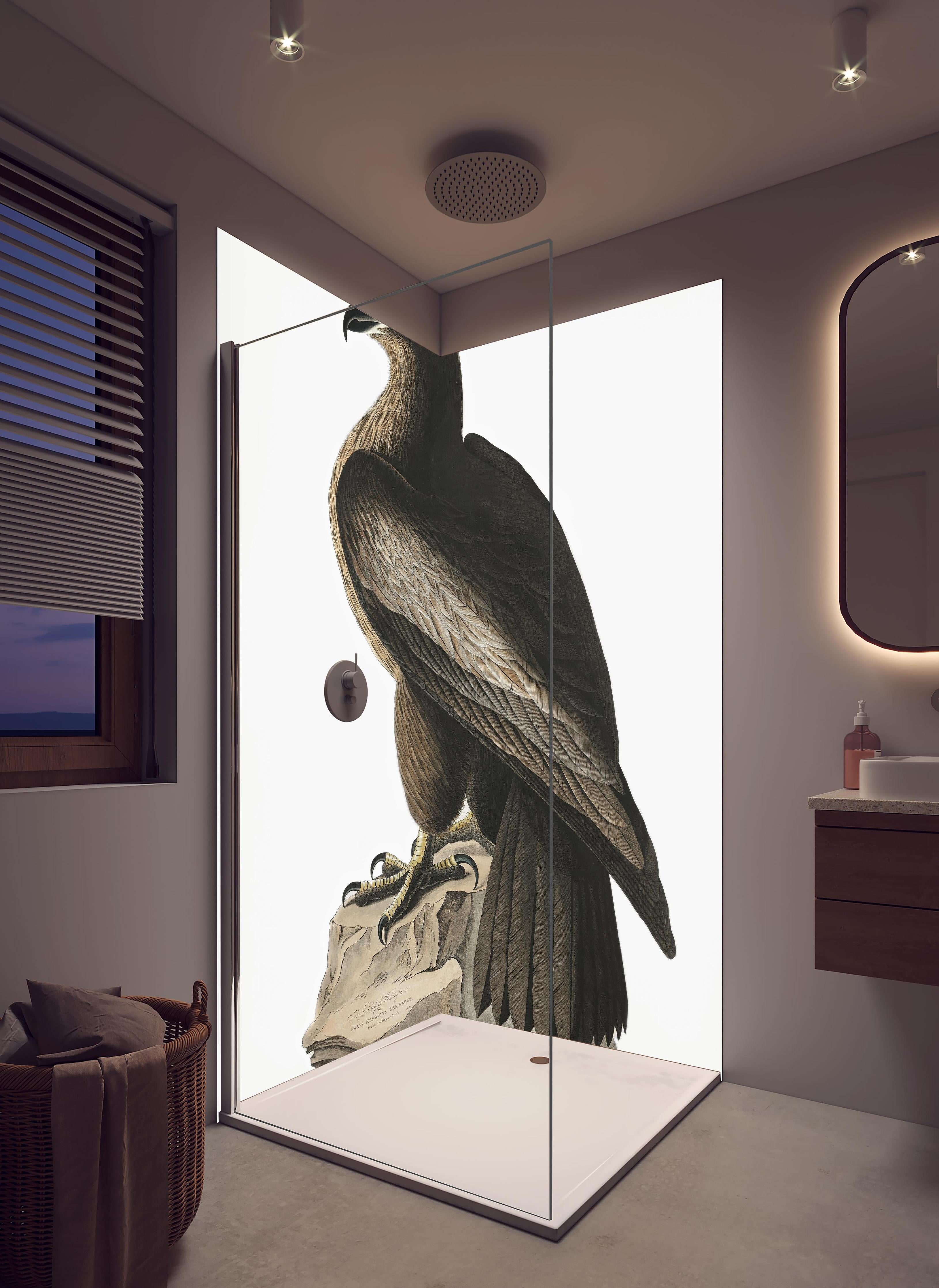 Duschrückwand - Riesenseeadler Portrait - John James Audubon in hellem Badezimmer mit Regenduschkopf  - zweiteilige Eck-Duschrückwand