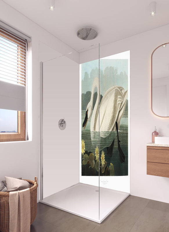 Duschrückwand - Schwan Portait - Robert Havell  in hellem Badezimmer mit Regenduschkopf  - zweiteilige Eck-Duschrückwand