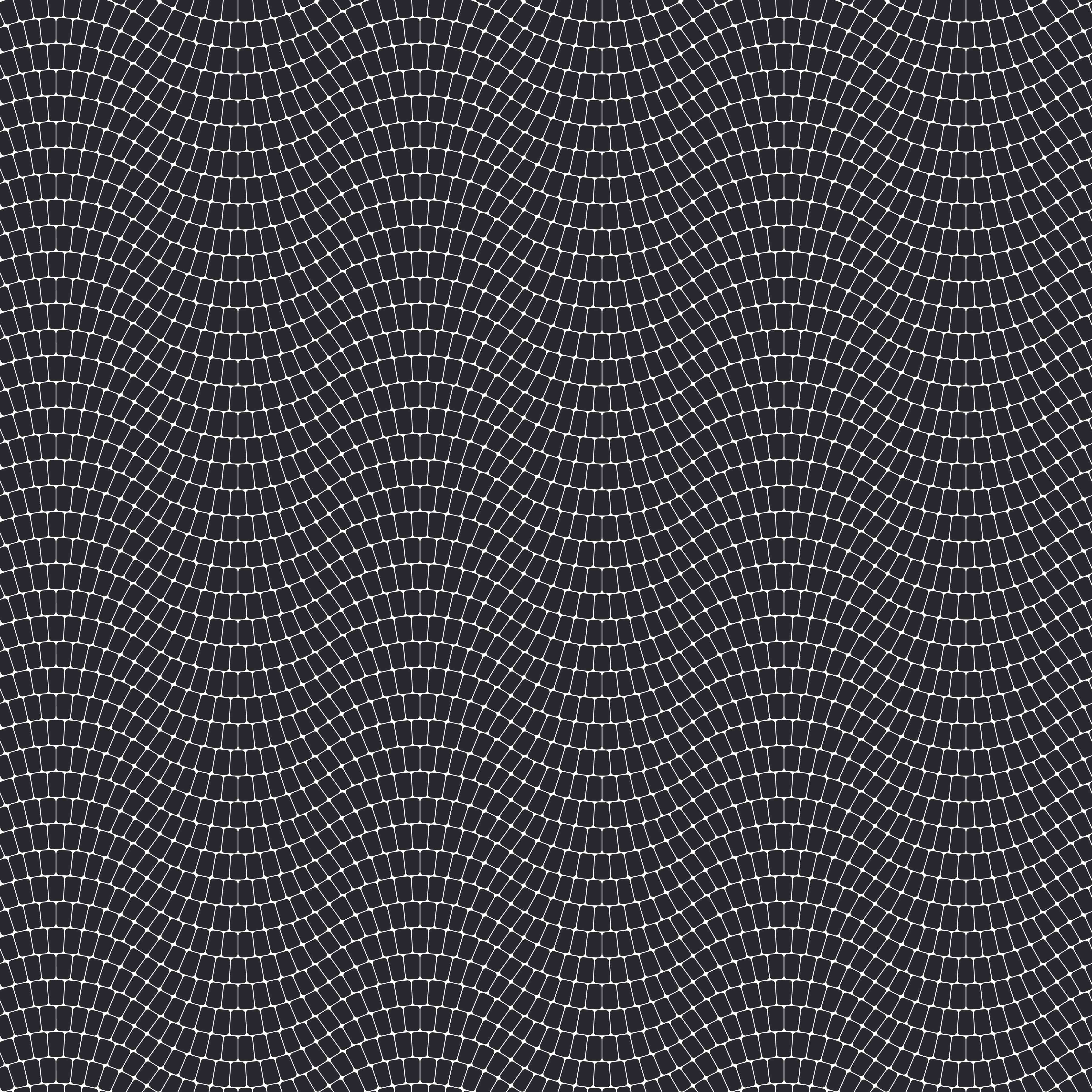 Duschrückwand-Schwarz-weiße geometrische Netz-Struktur