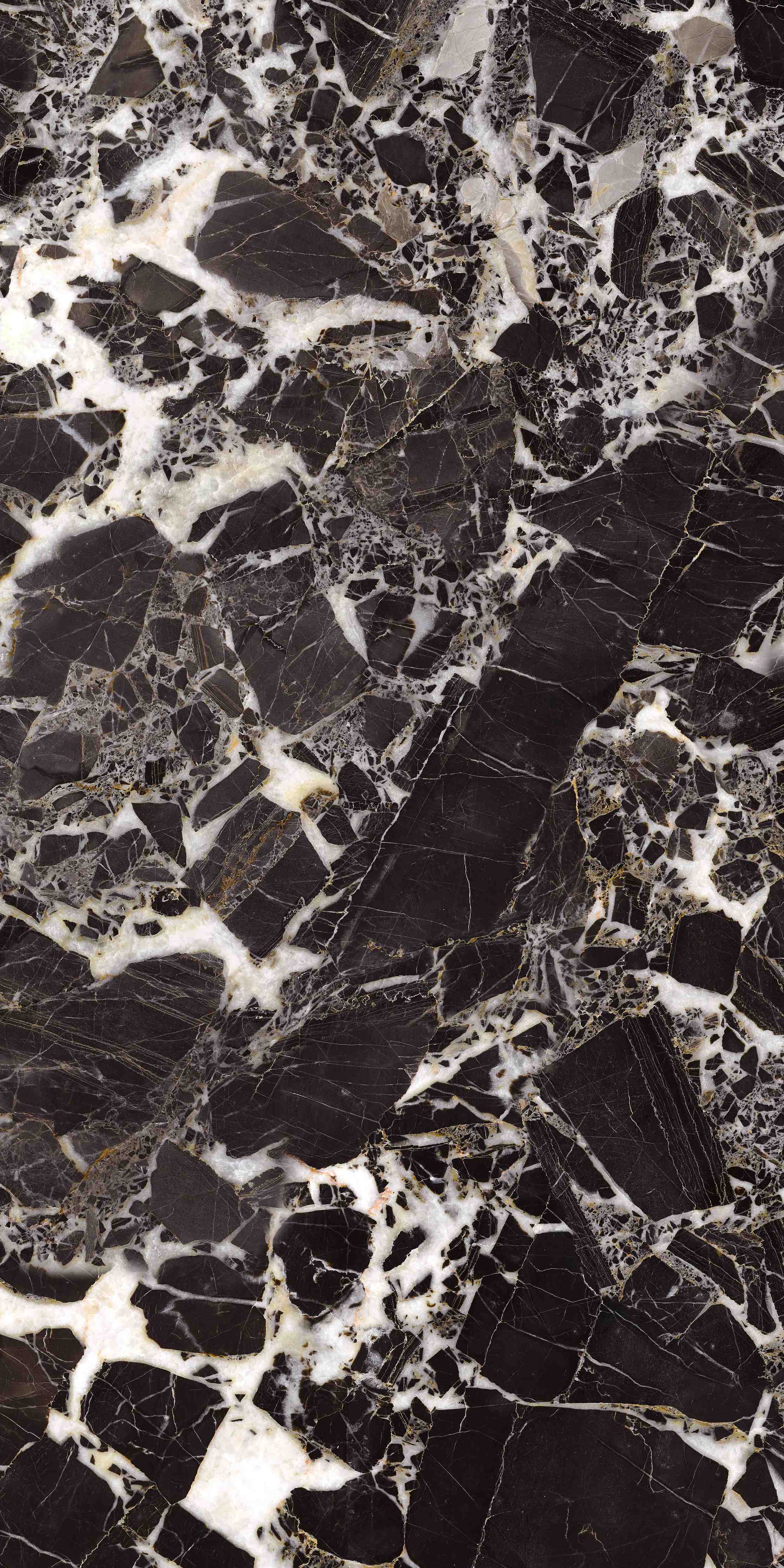 Duschrückwand-Schwarze Marmor-Textur mit weißen Akzenten