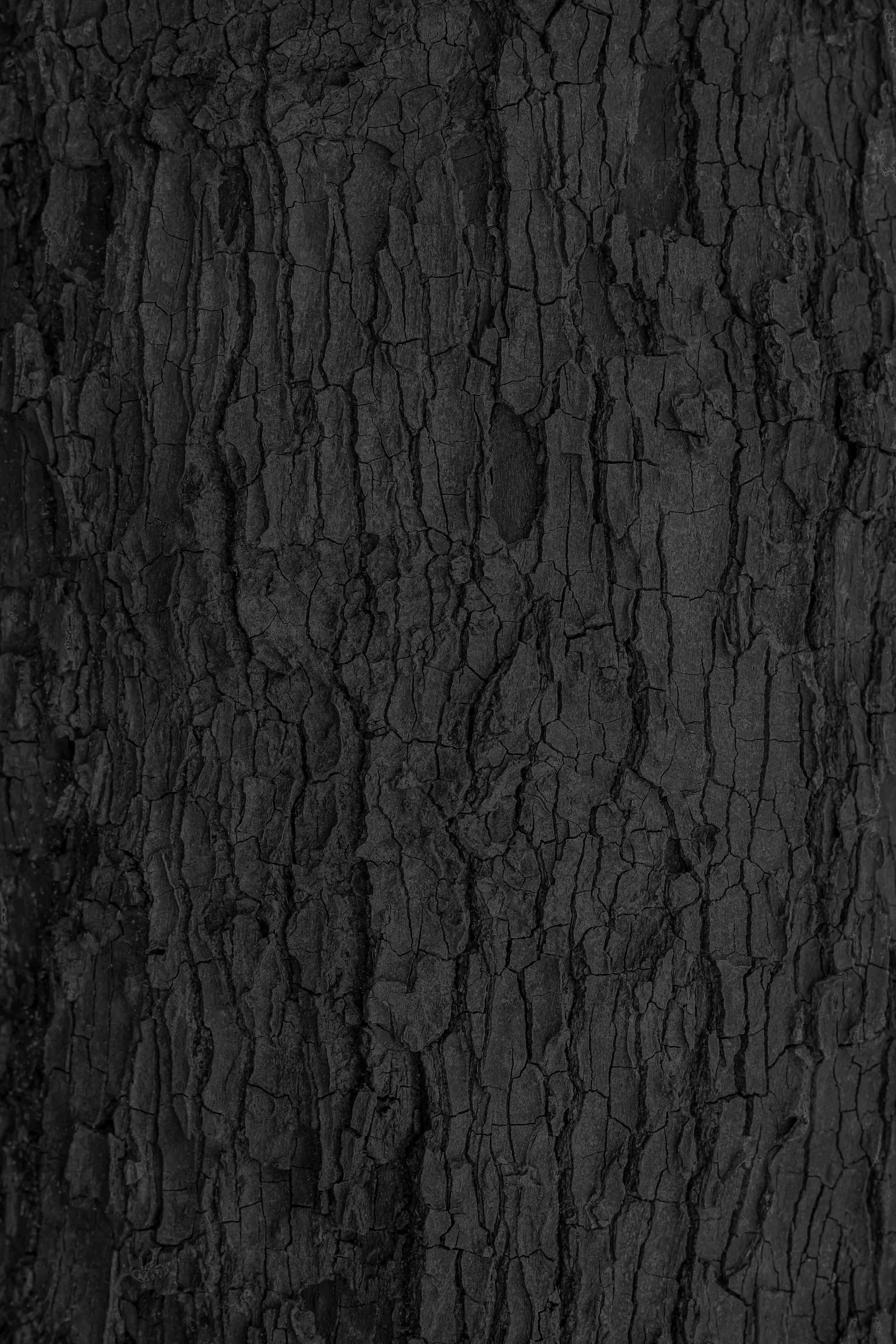 Duschrückwand-Schwarze Rinde mit texturierter Oberfläche