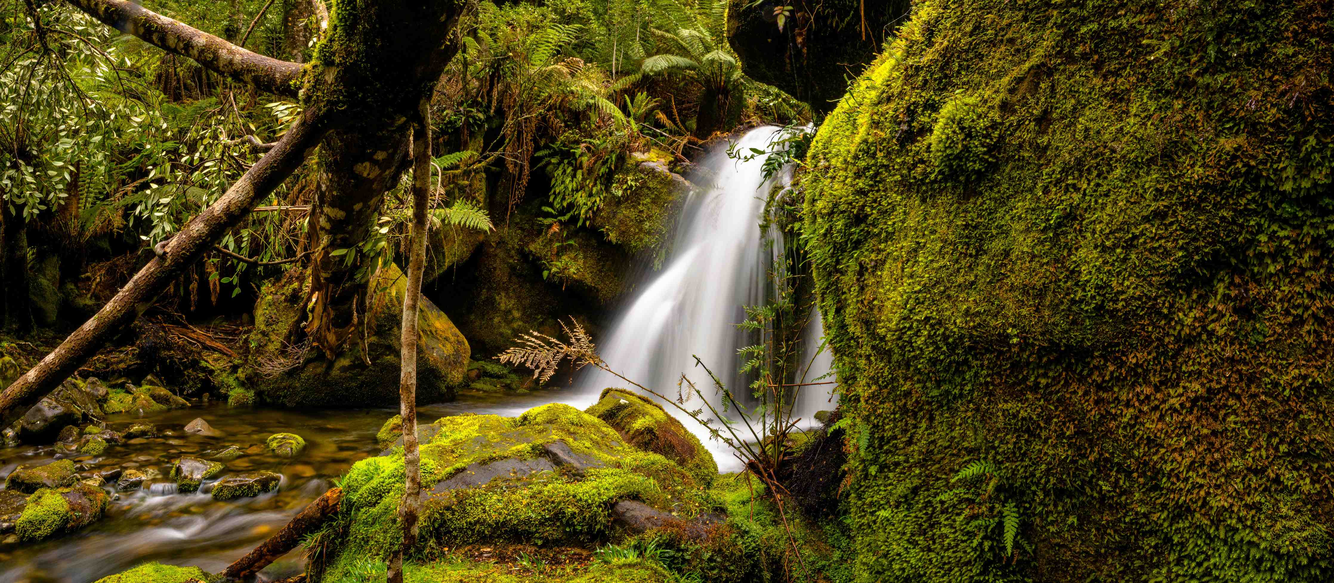 Duschrückwand-Silbriger Wasserfall im Mondwald