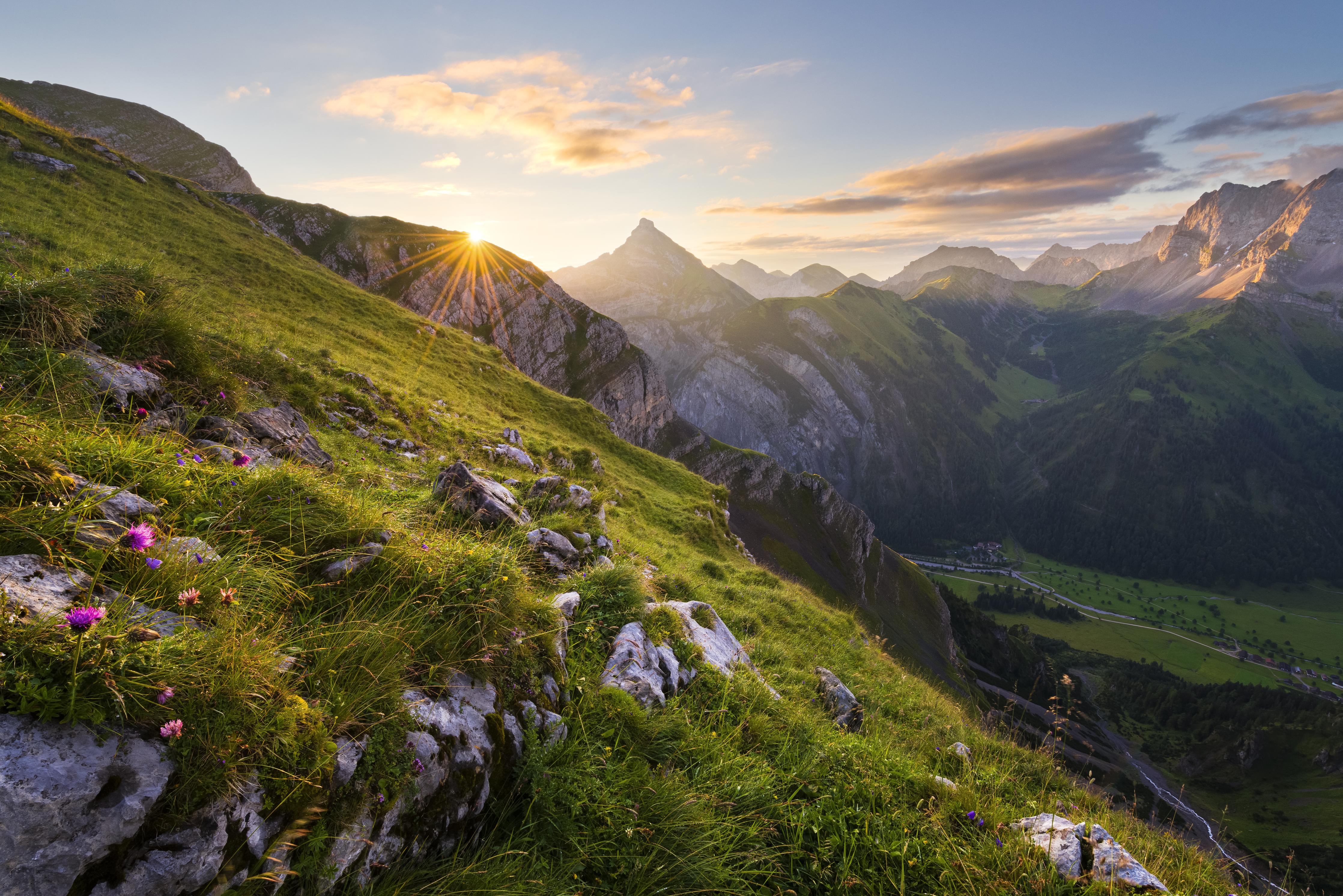 Duschrückwand-Sonnenstrahlen über blühender Alpenwiese