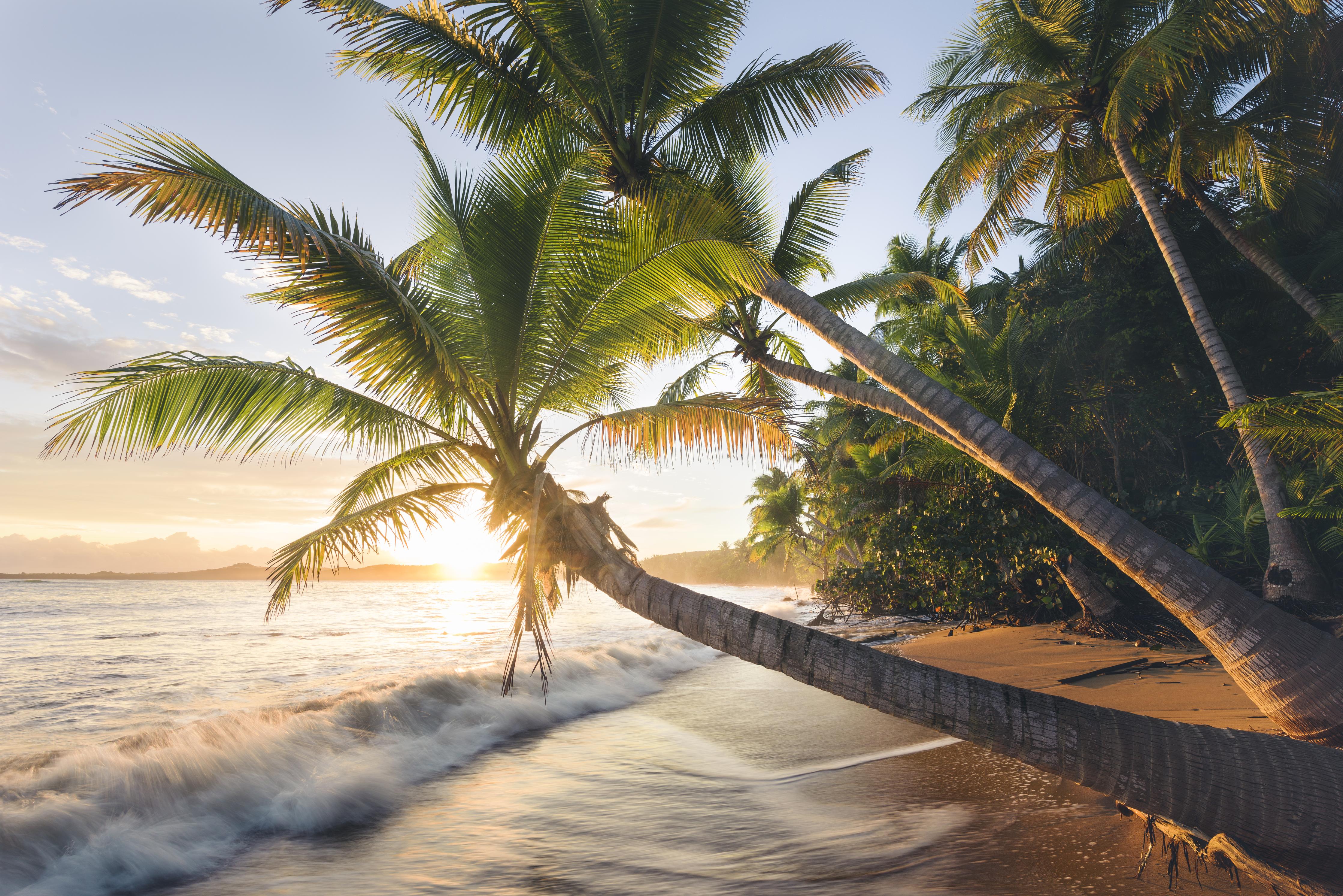 Duschrückwand-Strand in der Karibik bei Sonnenuntergang