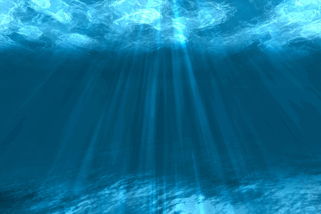 Duschrückwand - Tiefsee Blau Unterwasserwelt