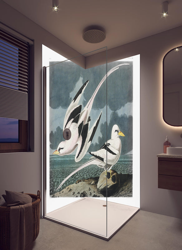 Duschrückwand - Tropische Vögel - John James Audubon in hellem Badezimmer mit Regenduschkopf  - zweiteilige Eck-Duschrückwand
