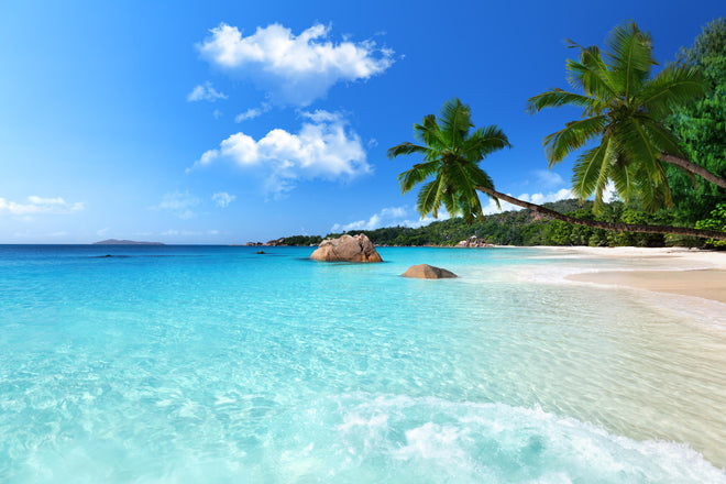 Duschrückwand - Türkises Meer und blauer Himmel Seychellen