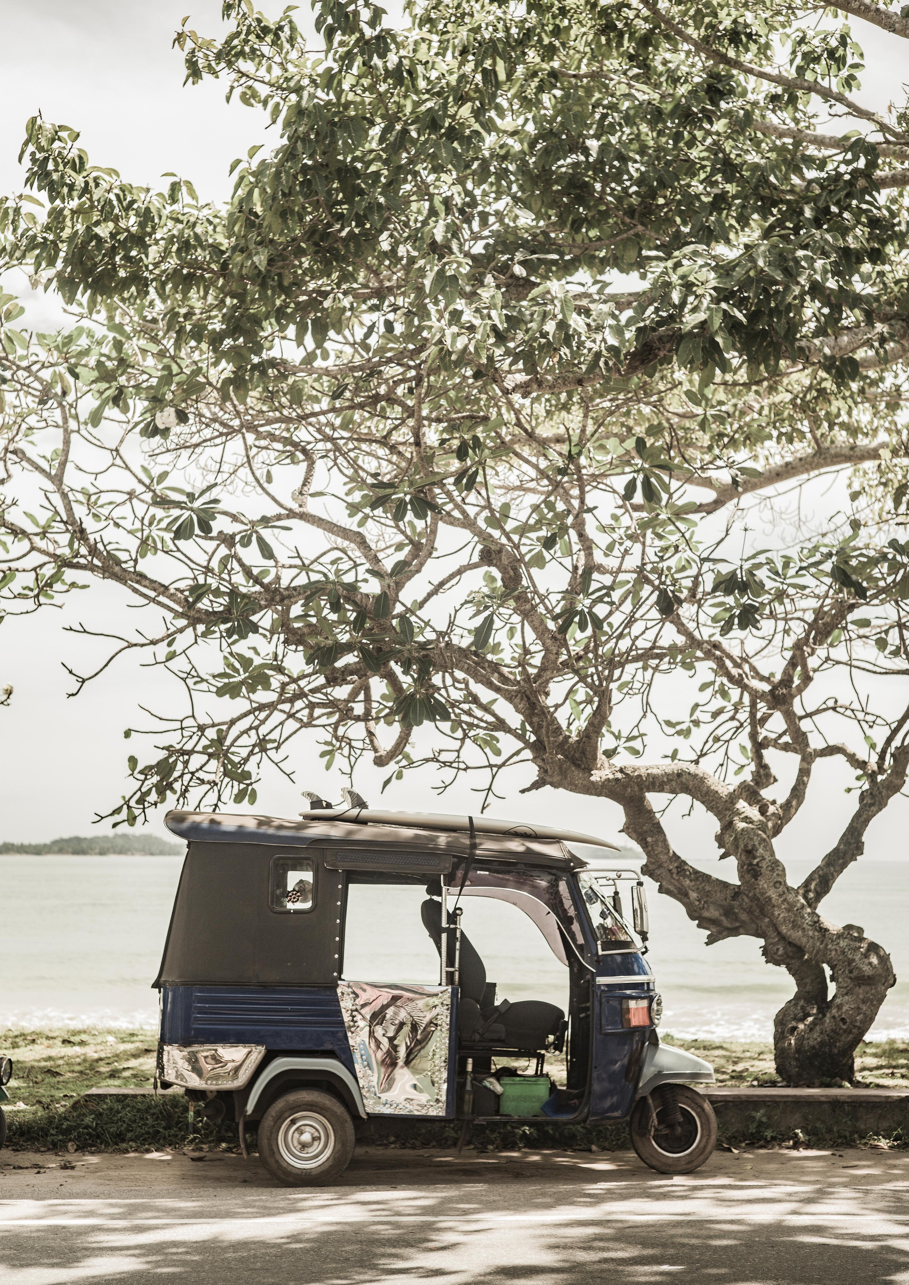 Duschrückwand-Tuk Tuk unter Bäumen am sonnigen Strand