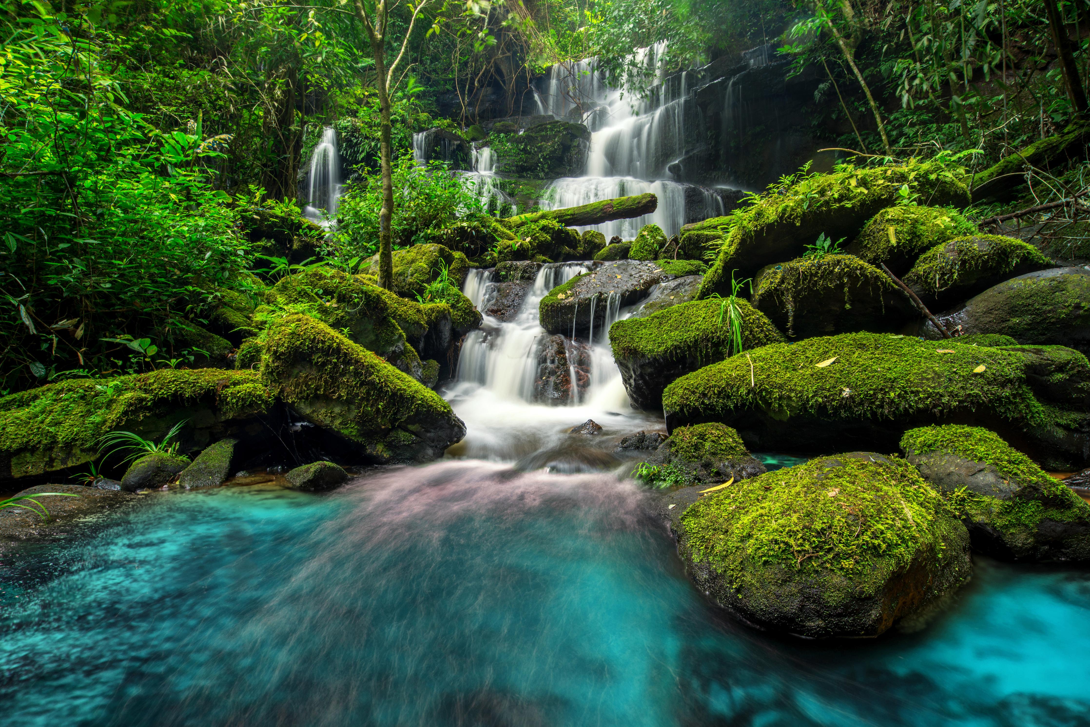 Duschrückwand-Wasserfall im grünen Dschungel von Thailand