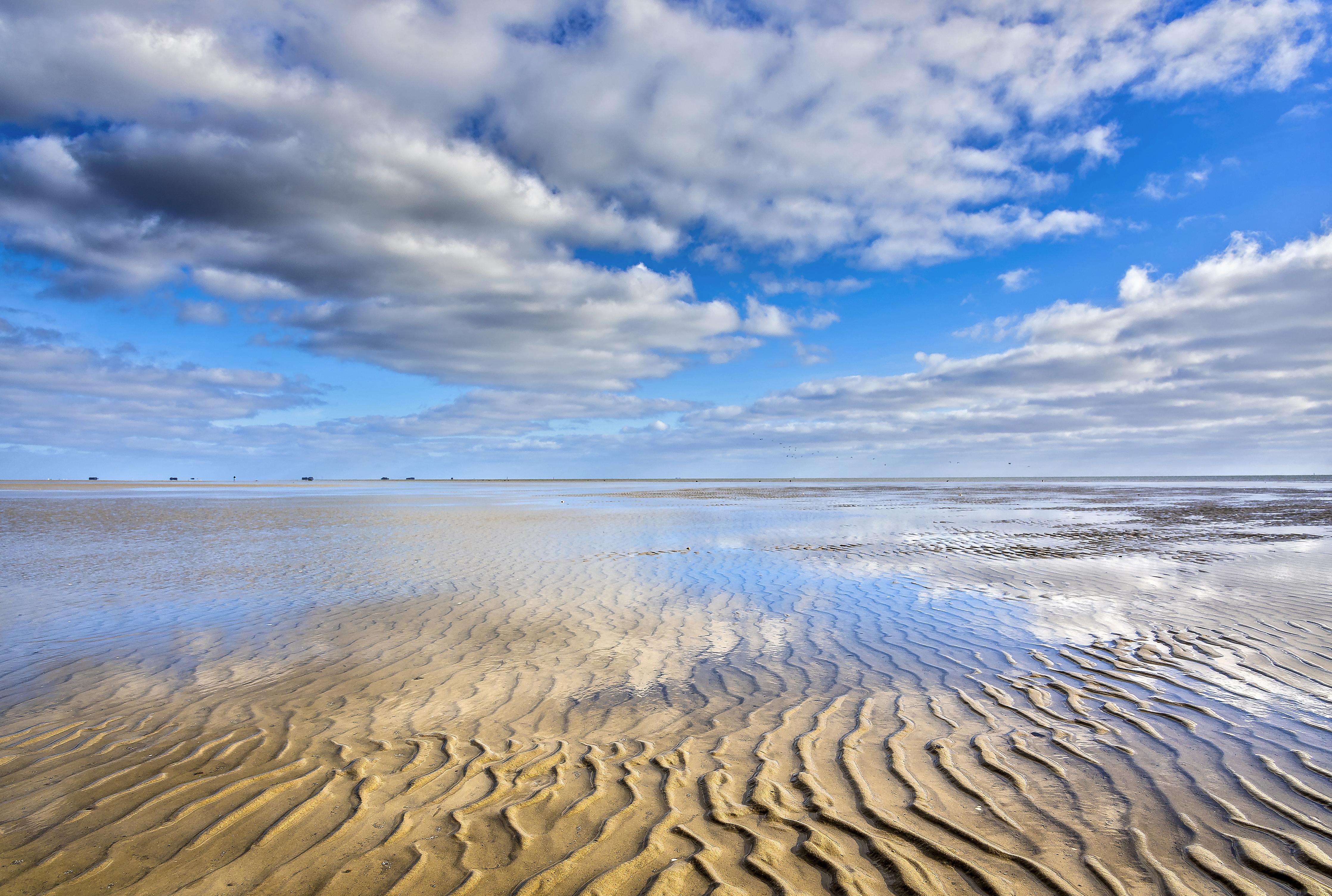 Duschrückwand-Wattenmeer der Nordsee bei Ebbe