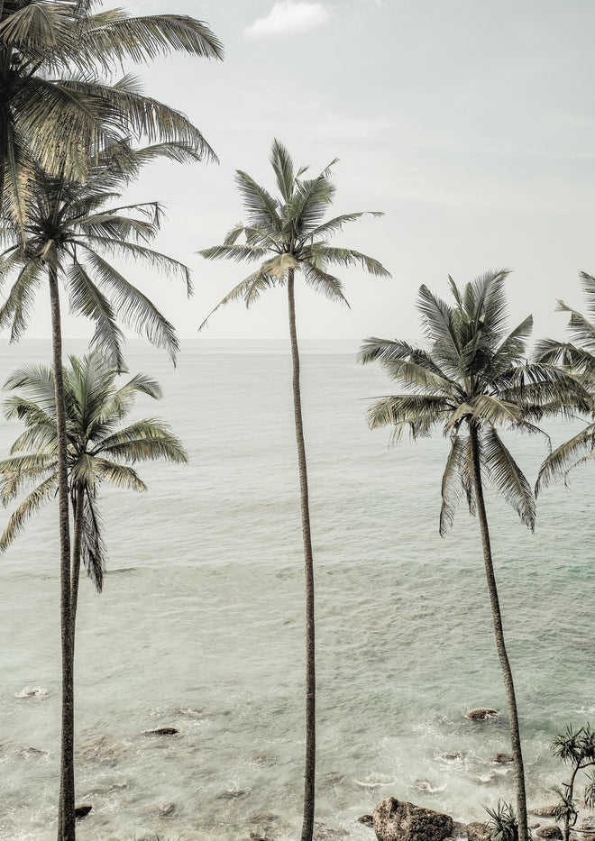 Duschrückwand - Weiße Sandstrände mit grünen Palmen