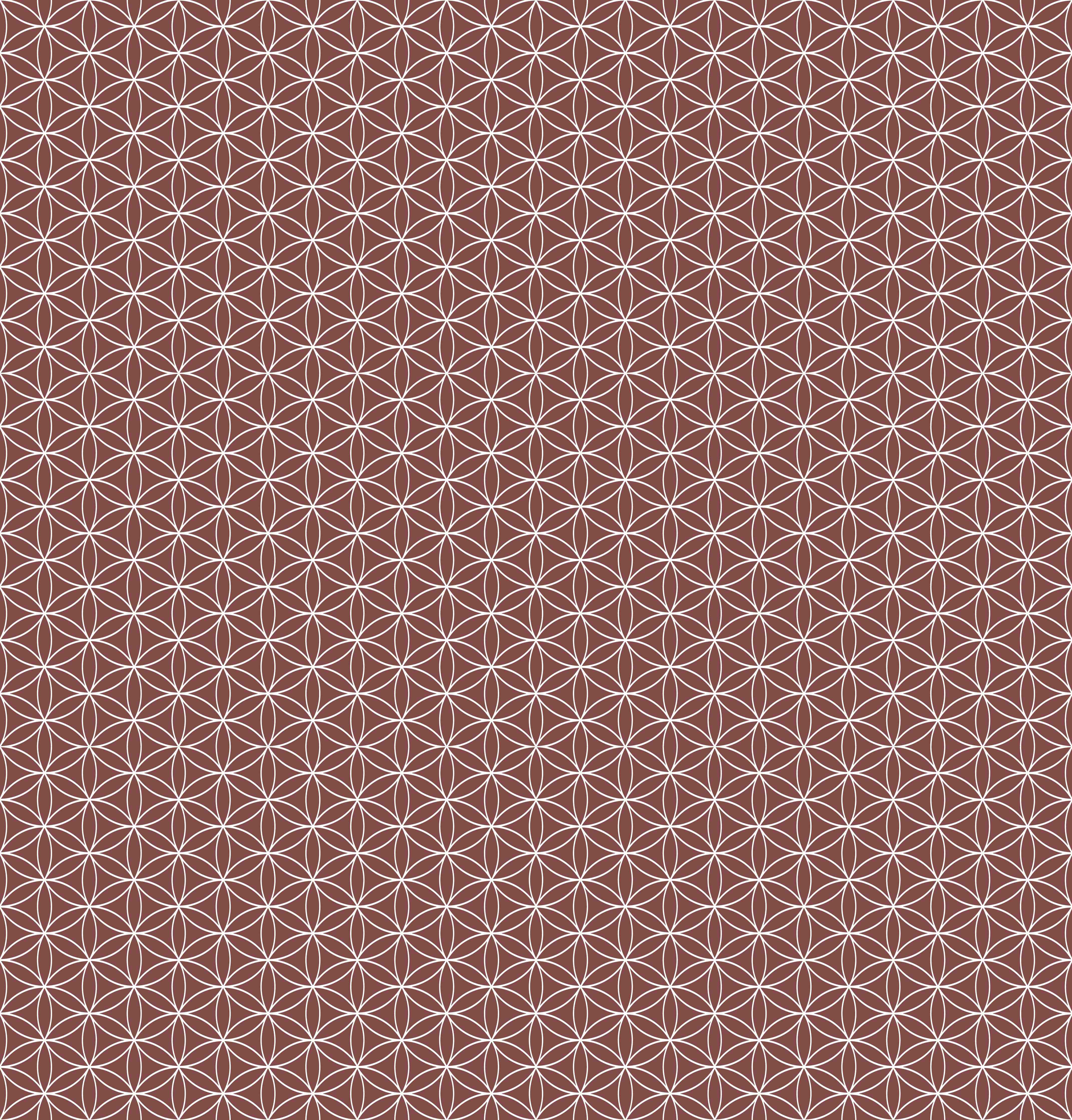Duschrückwand-Weiße geometrische Muster auf rostbraunem Hintergrund