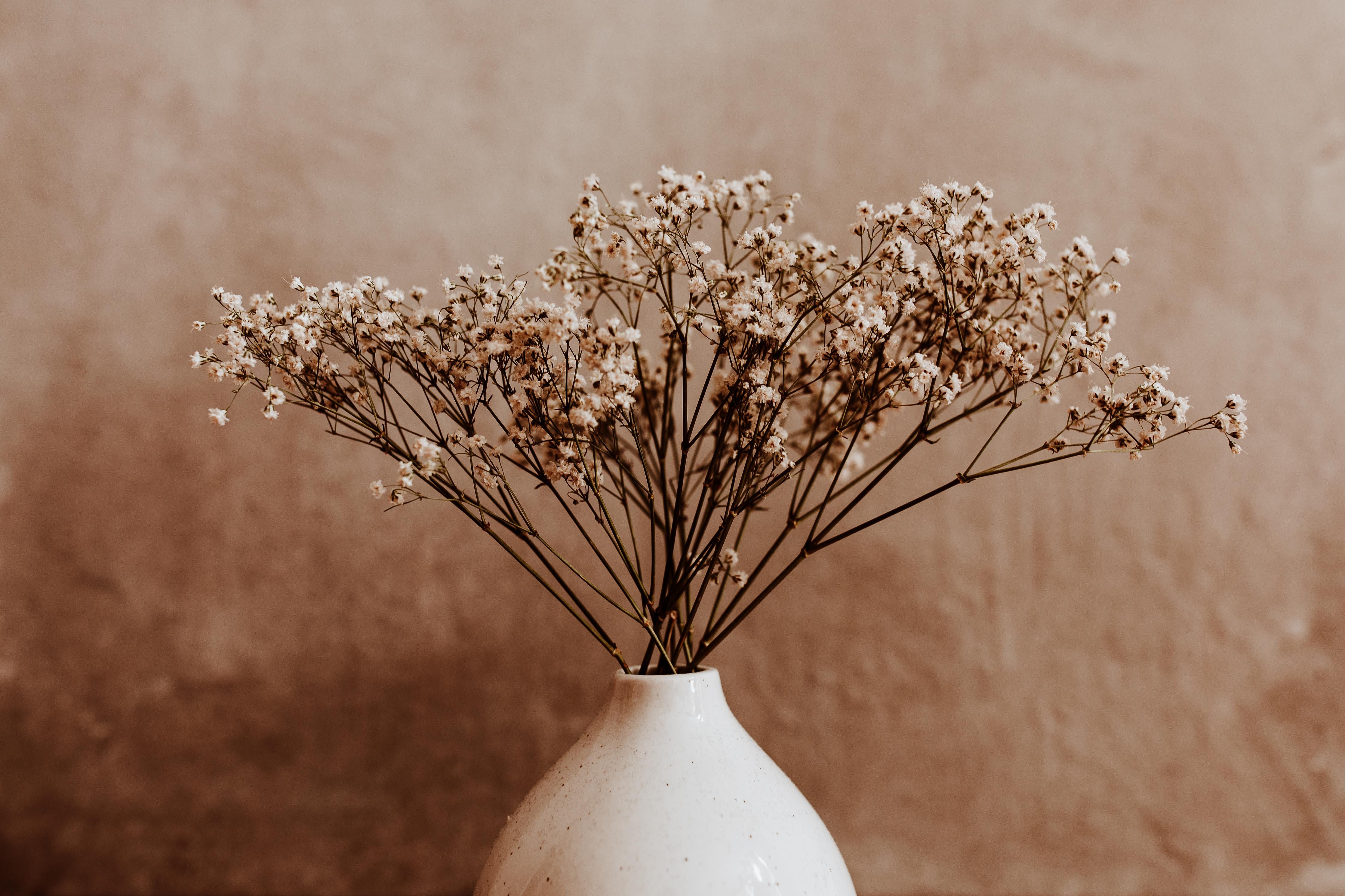 Duschrückwand-Weiße wilde getrocknete Blumen