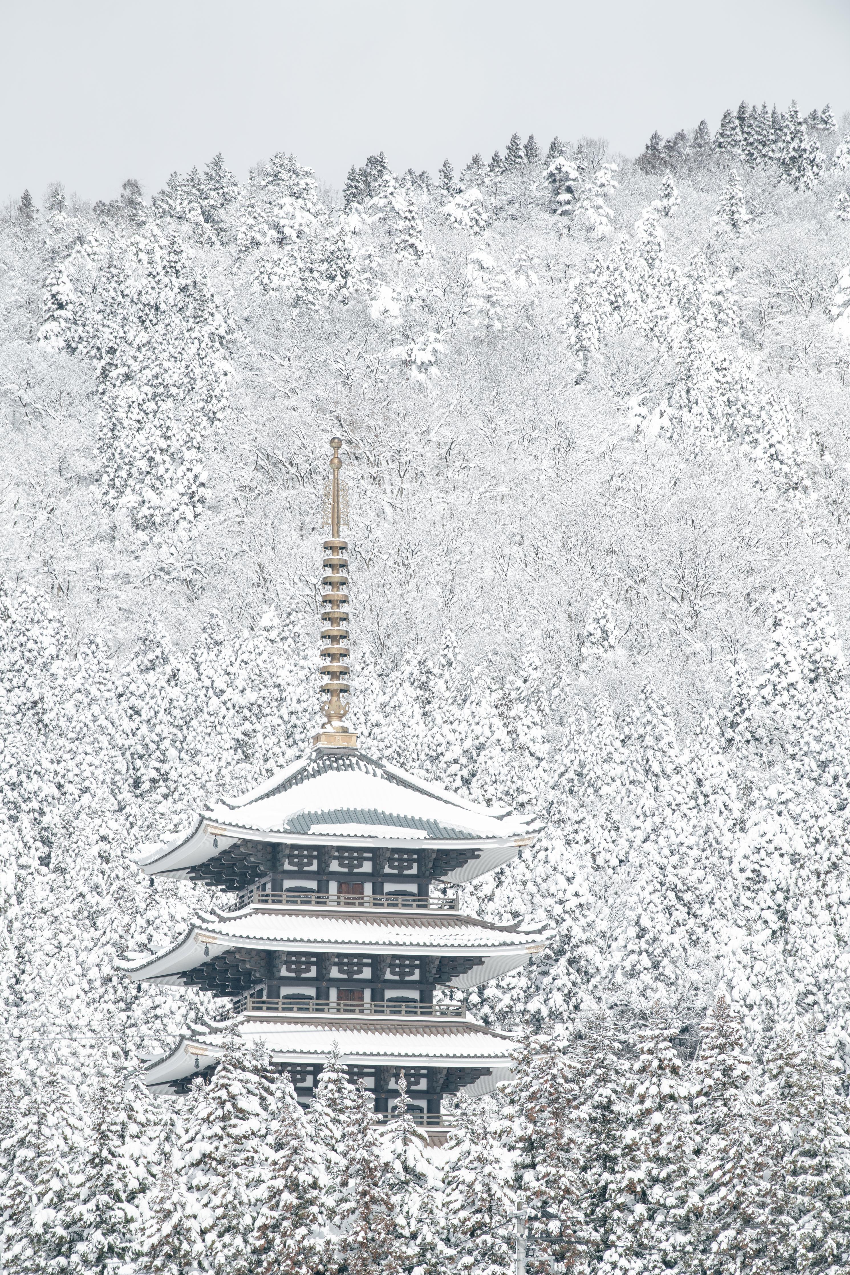 Duschrückwand-Winterlicher Turm - Buddismus