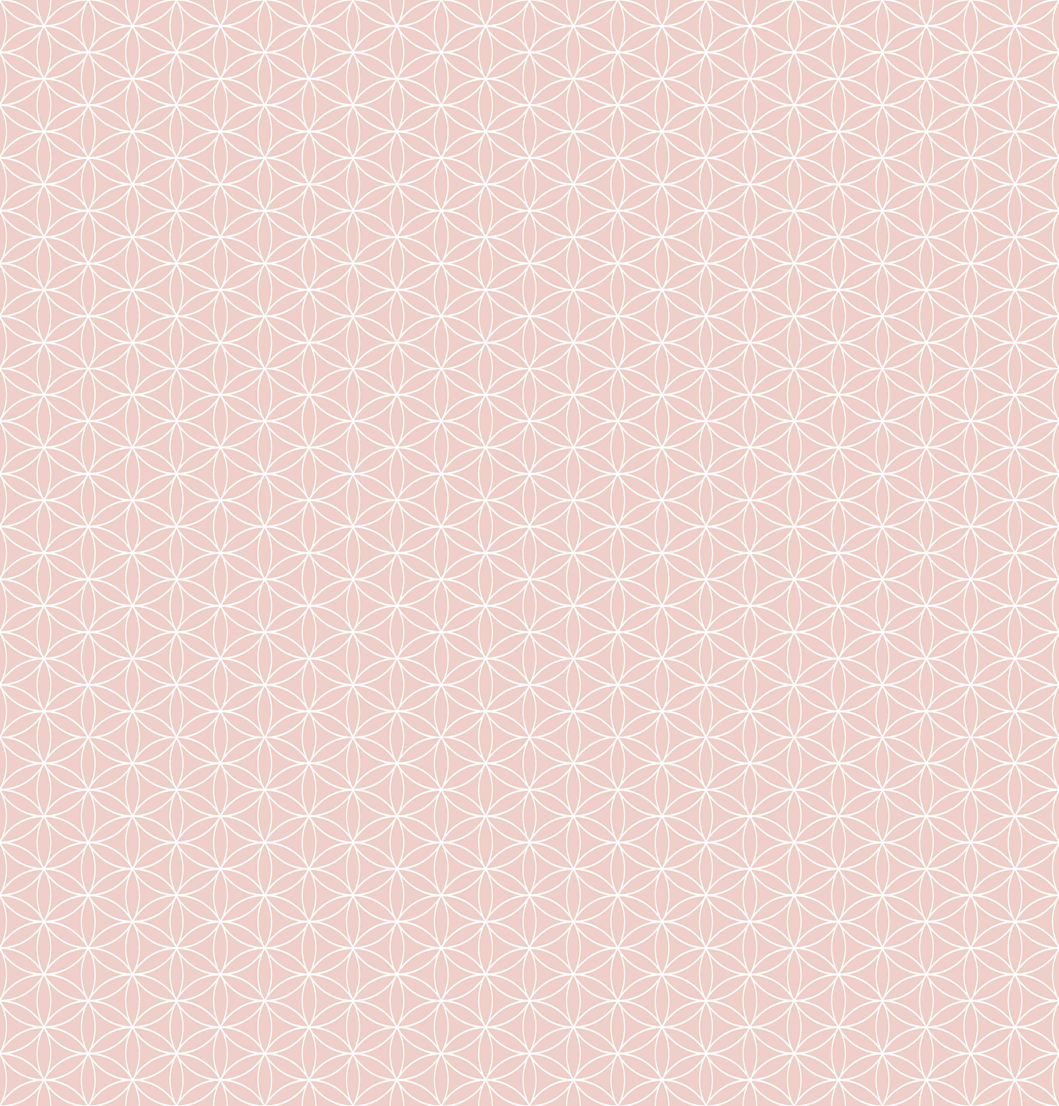 Duschrückwand-Zartes Rosa mit geometrischem Muster, helle Farbpalette