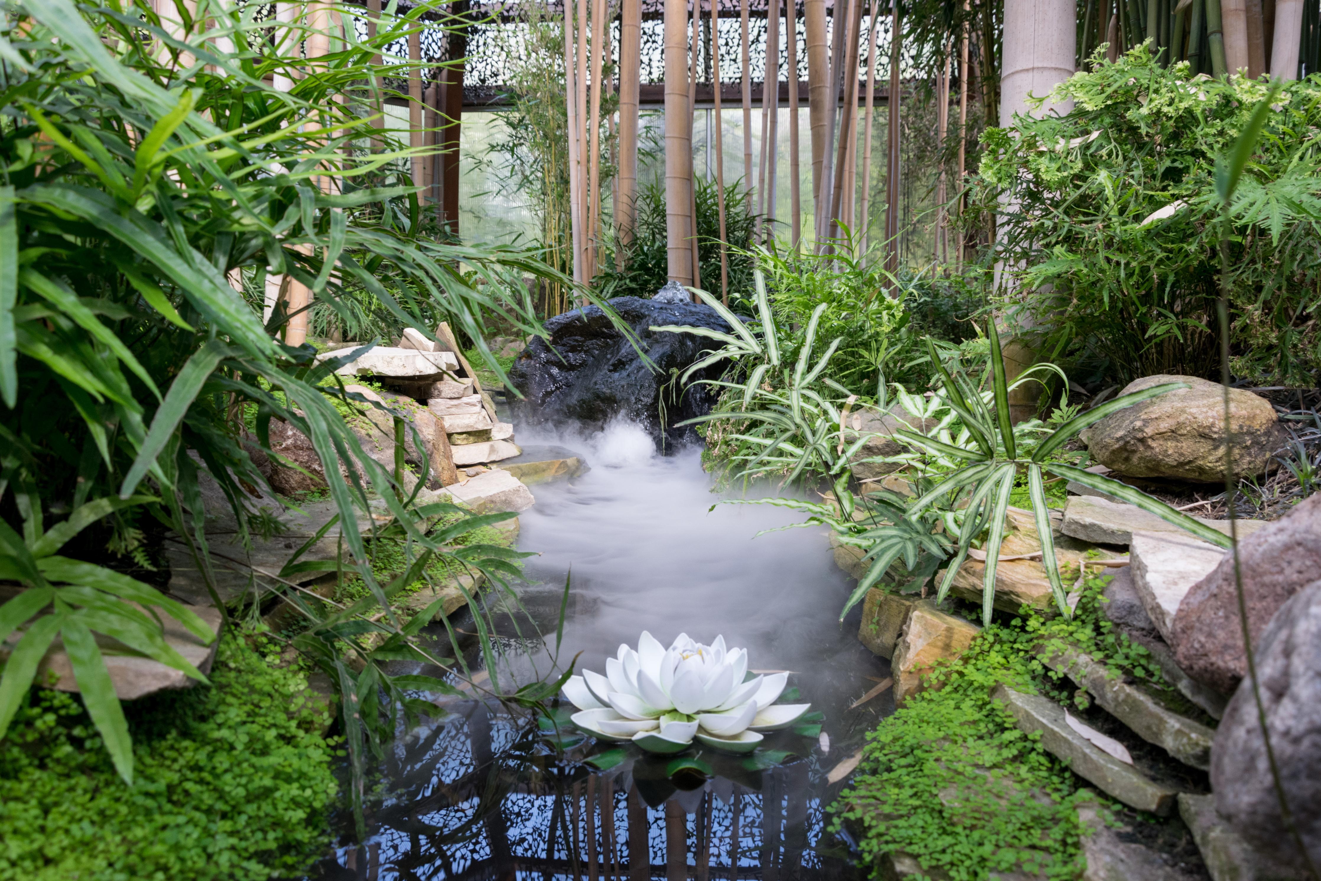 Duschrückwand-Zen-Garten mit weißer Seerose