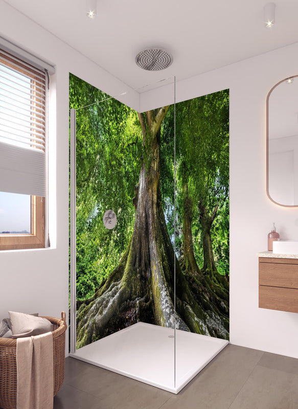 Duschrückwand - großer alter Baum in Froschperspektive in hellem Badezimmer mit Regenduschkopf  - zweiteilige Eck-Duschrückwand