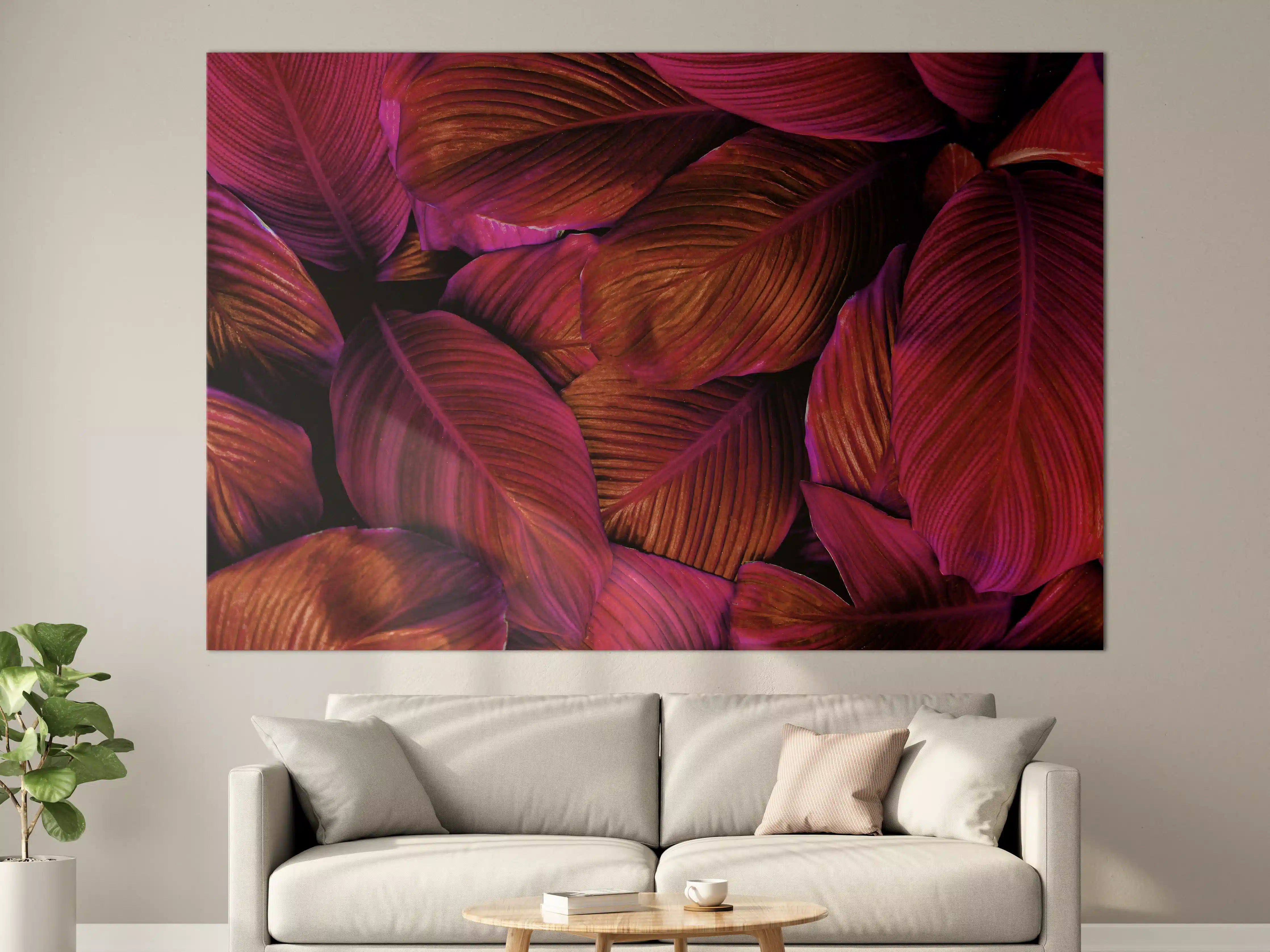 Große Wandbilder -  Spathiphyllum cannifolium - Rosa Blätter