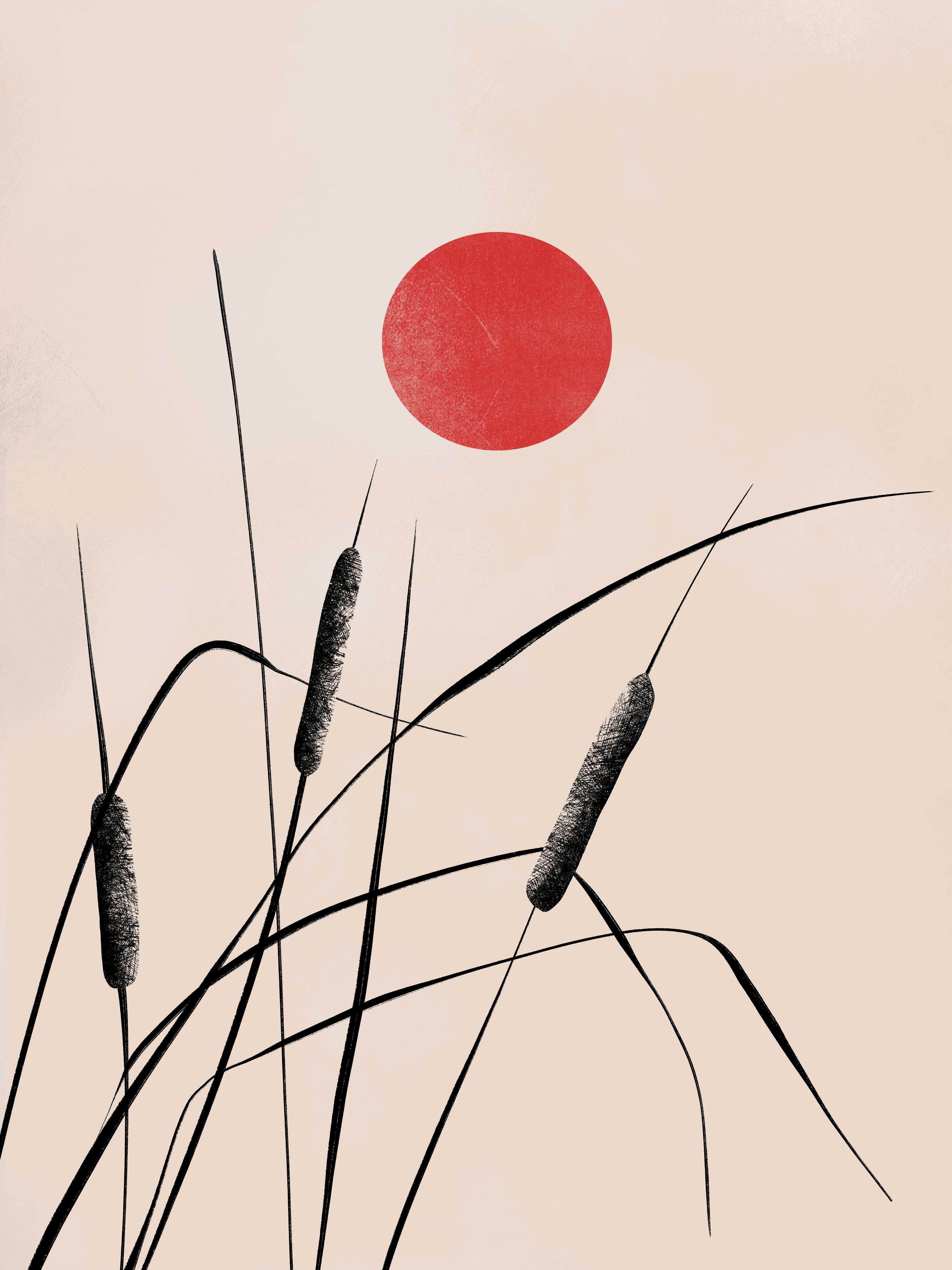 Große Wandbilder-Abstrakte Natur mit rotem Sonnenakzent