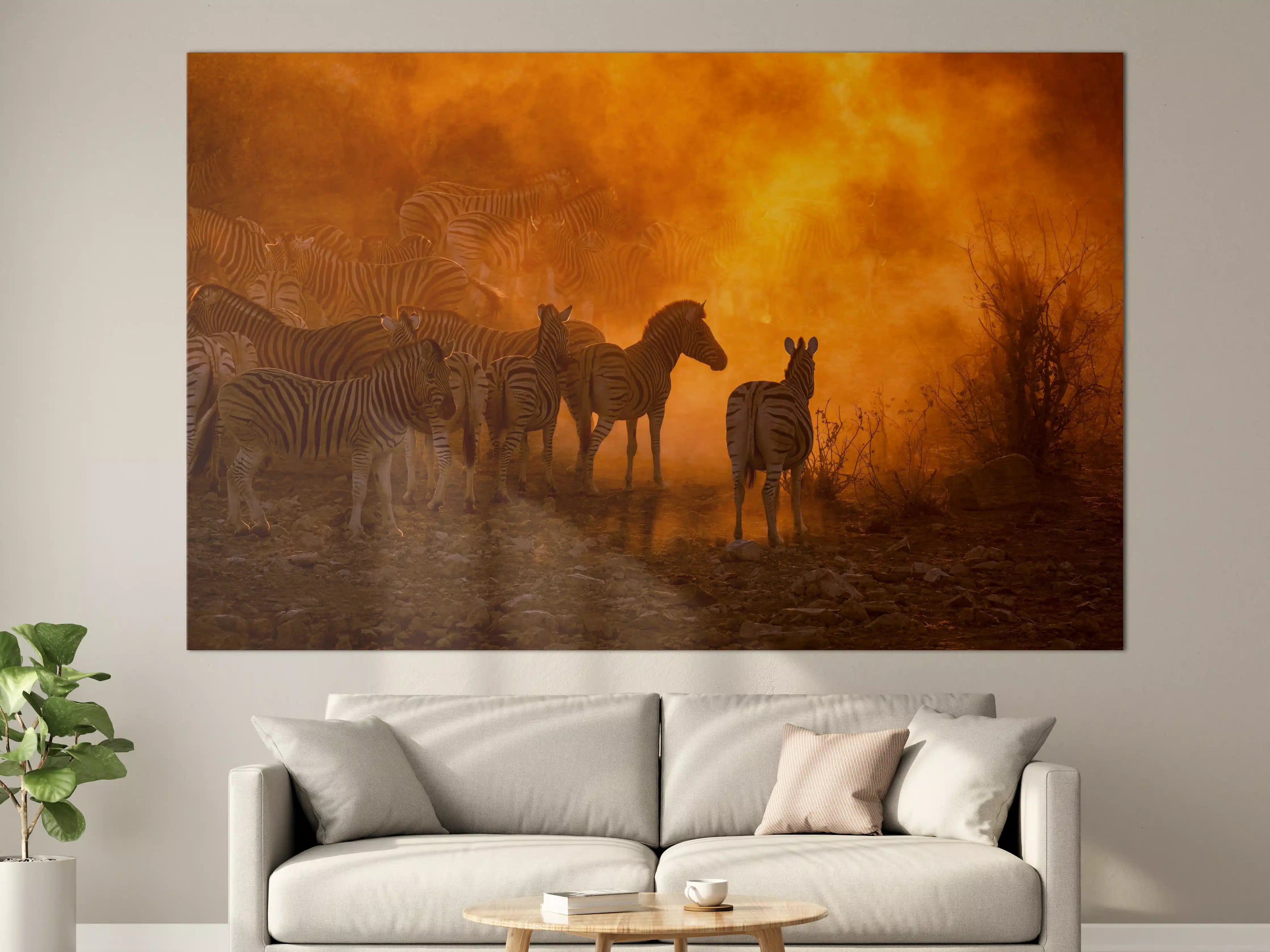Große Wandbilder - Afrikanische Zebras bei Sonnenuntergang mit Feuerhintergrund