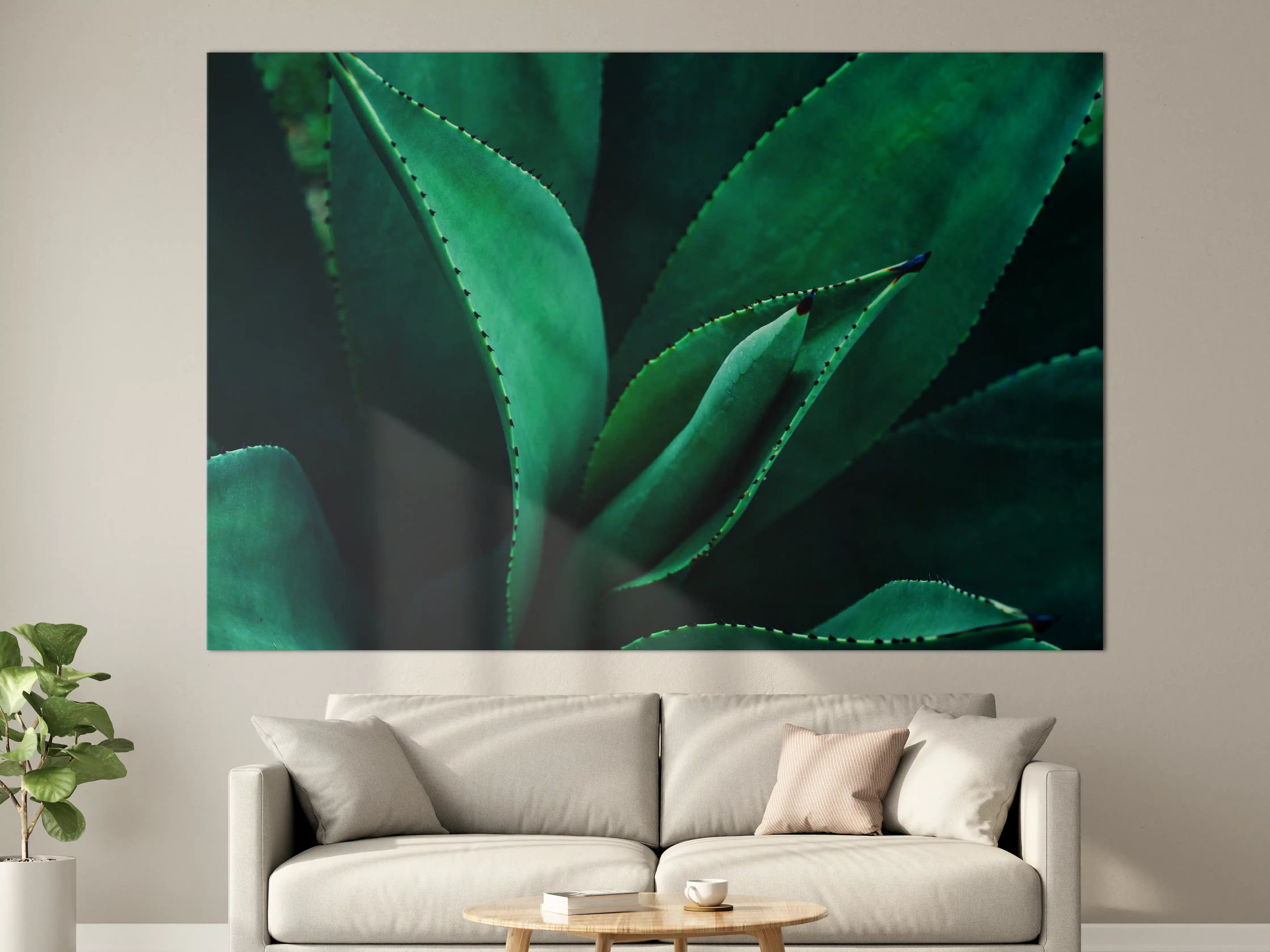 Große Wandbilder - Agave Kaktus - Nahaufnahme
