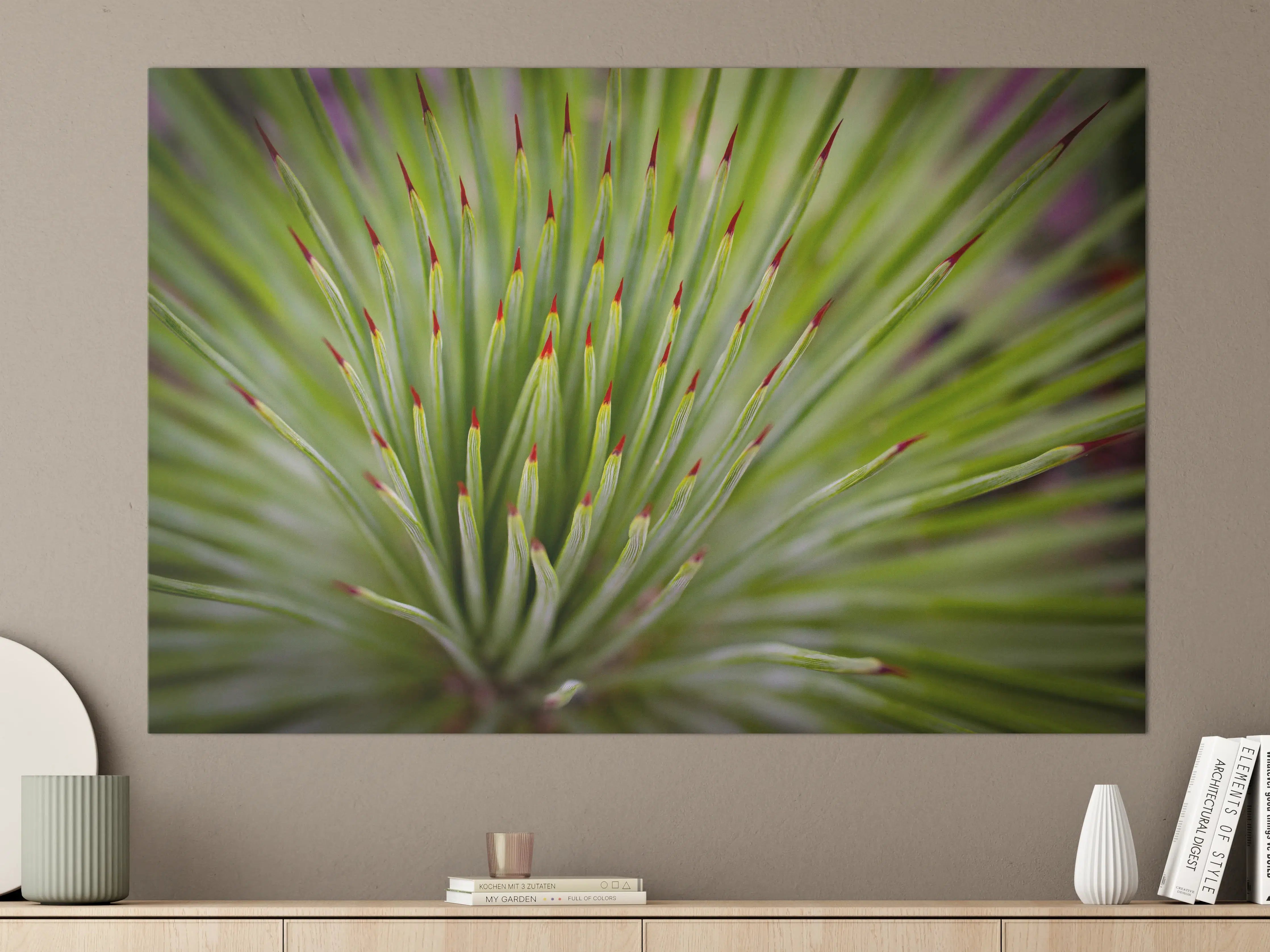 Große Wandbilder - Agave striata im Detail