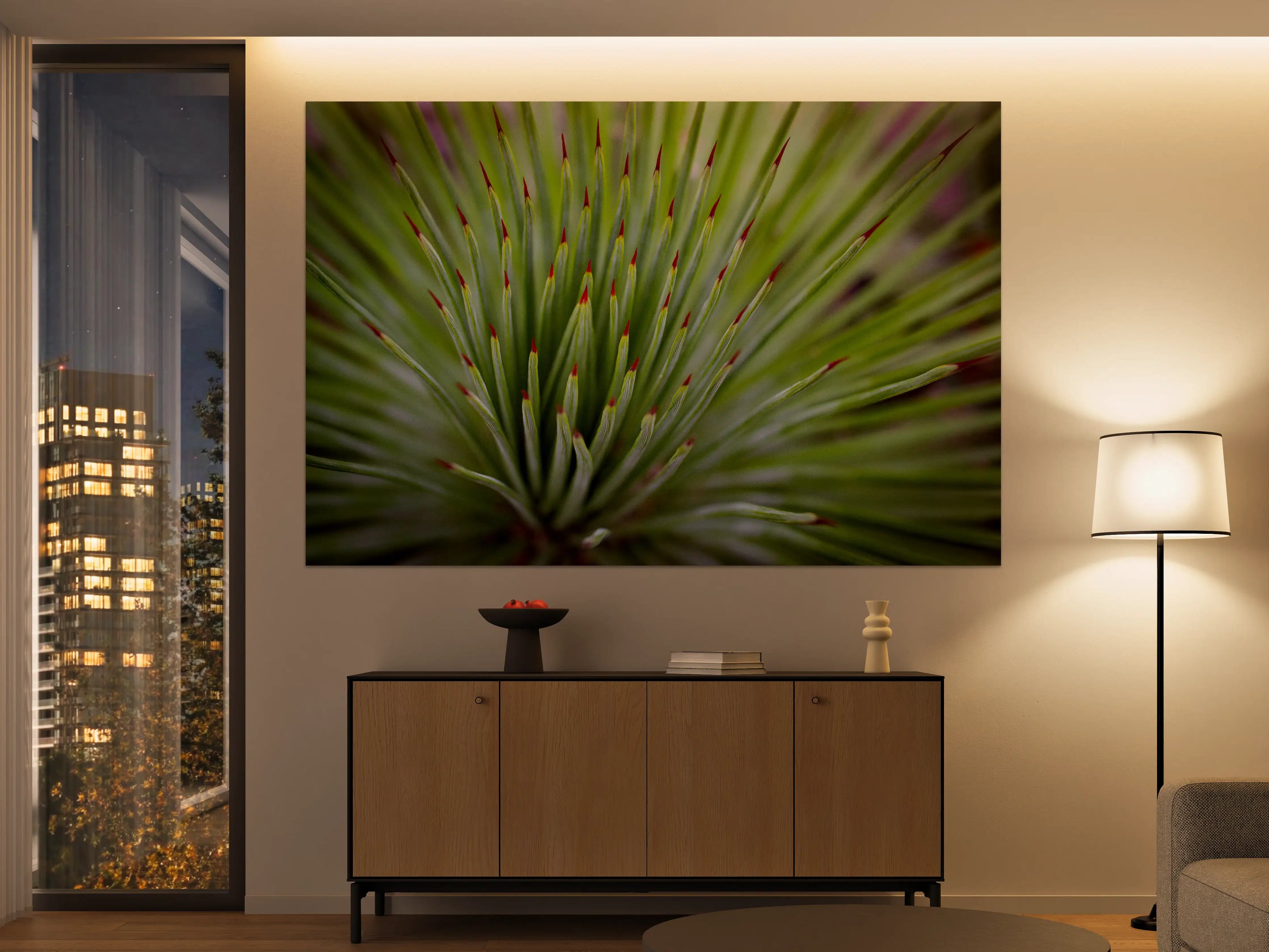 Große Wandbilder - Agave striata im Detail