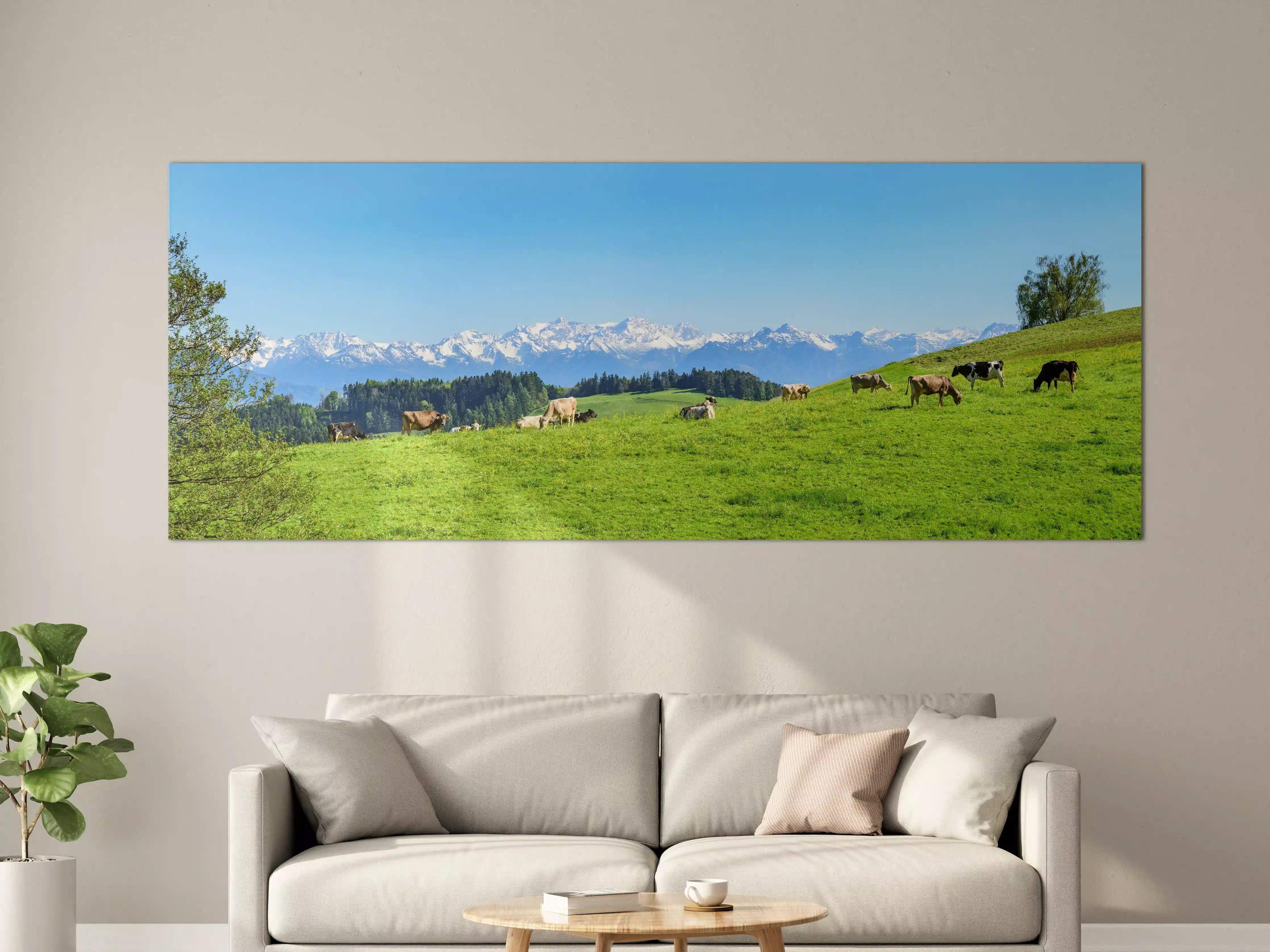 Große Wandbilder - Almwiese mit Kühen und Alpenblick