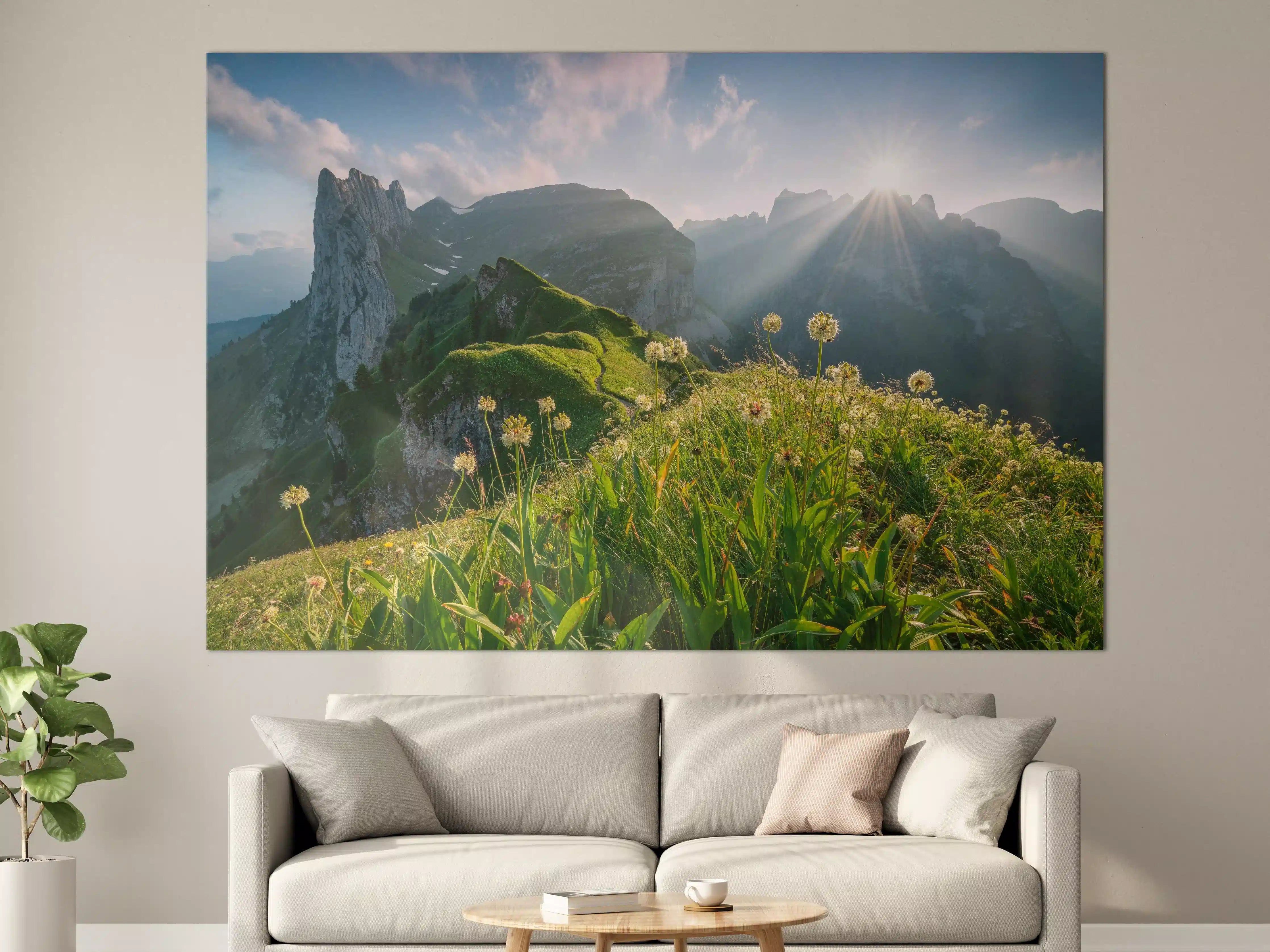 Große Wandbilder - Alpenwiesen im Sommerlicht