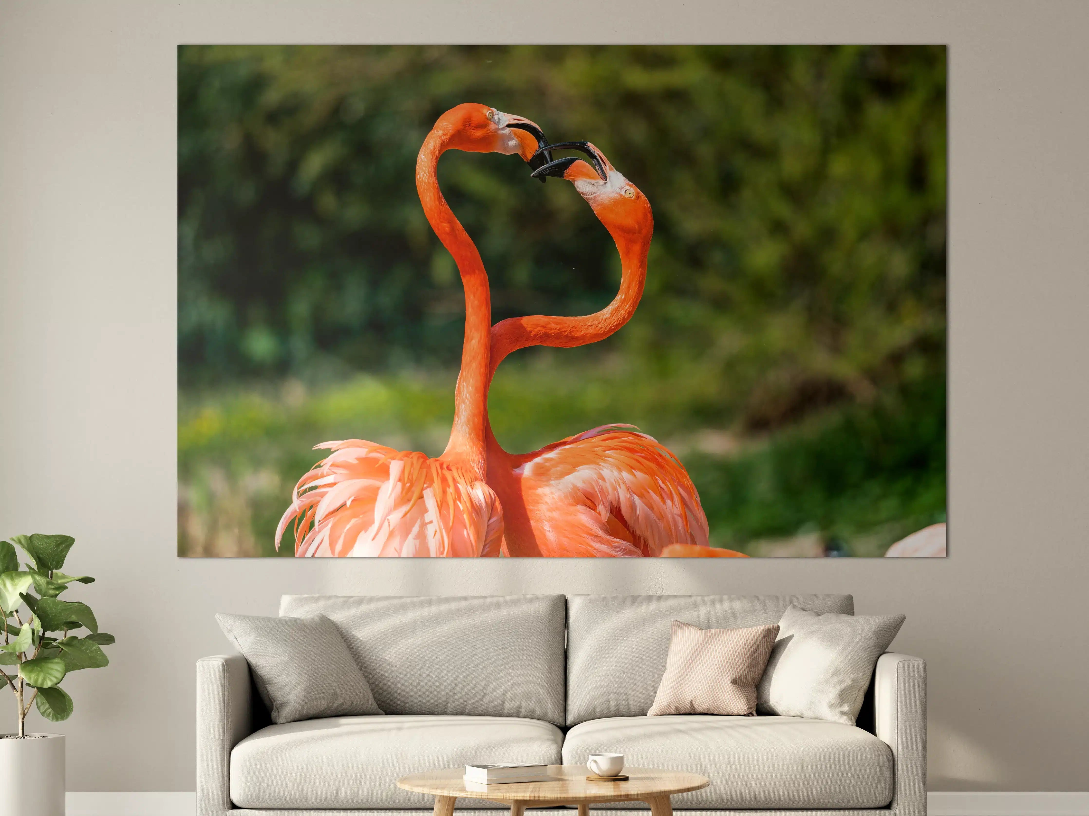 Große Wandbilder - Amerikanisches Flamingo-Paar