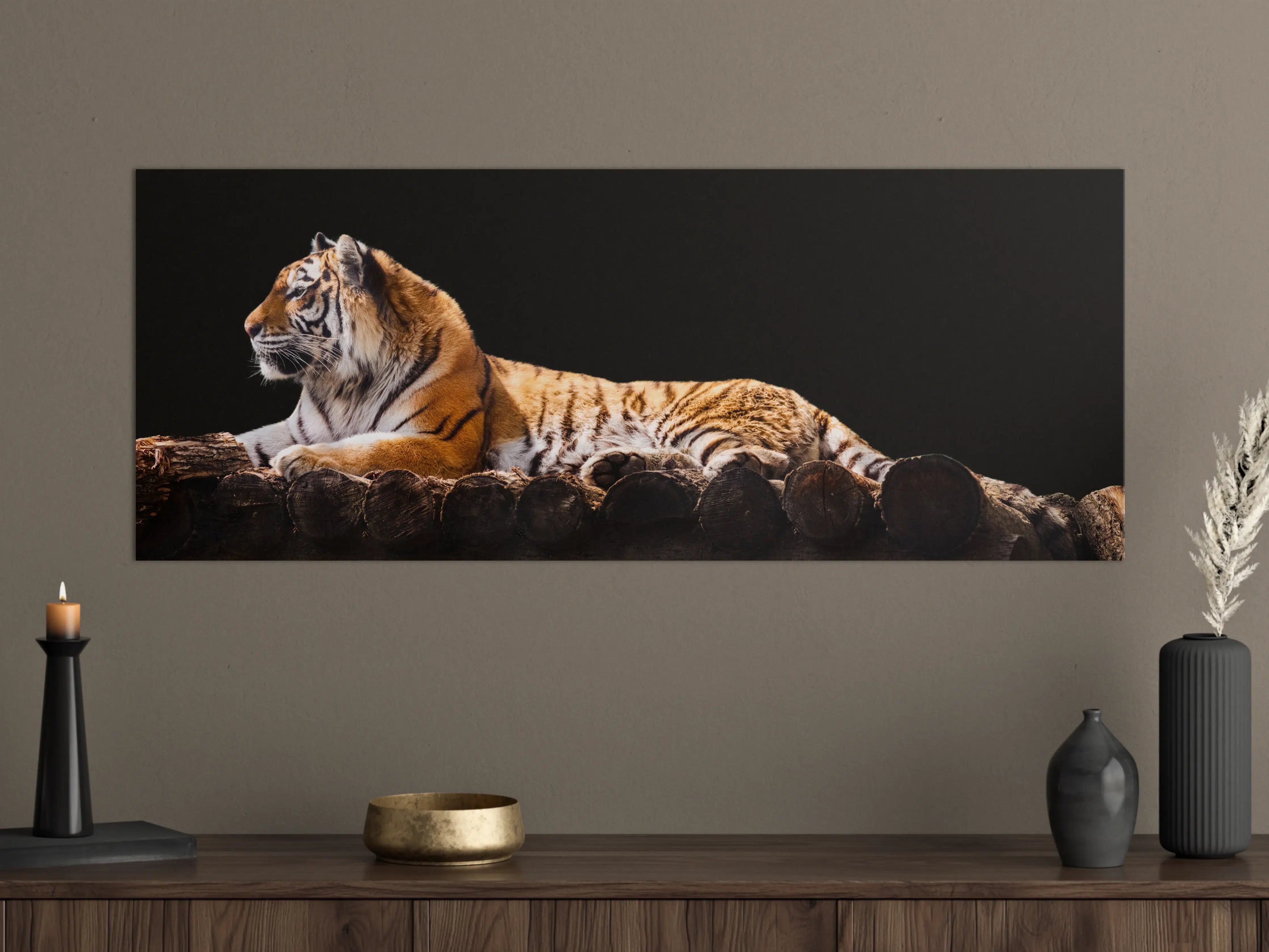 Große Wandbilder - Amurtiger liegend auf Holzdeck mit Schwarzem Hintergrund