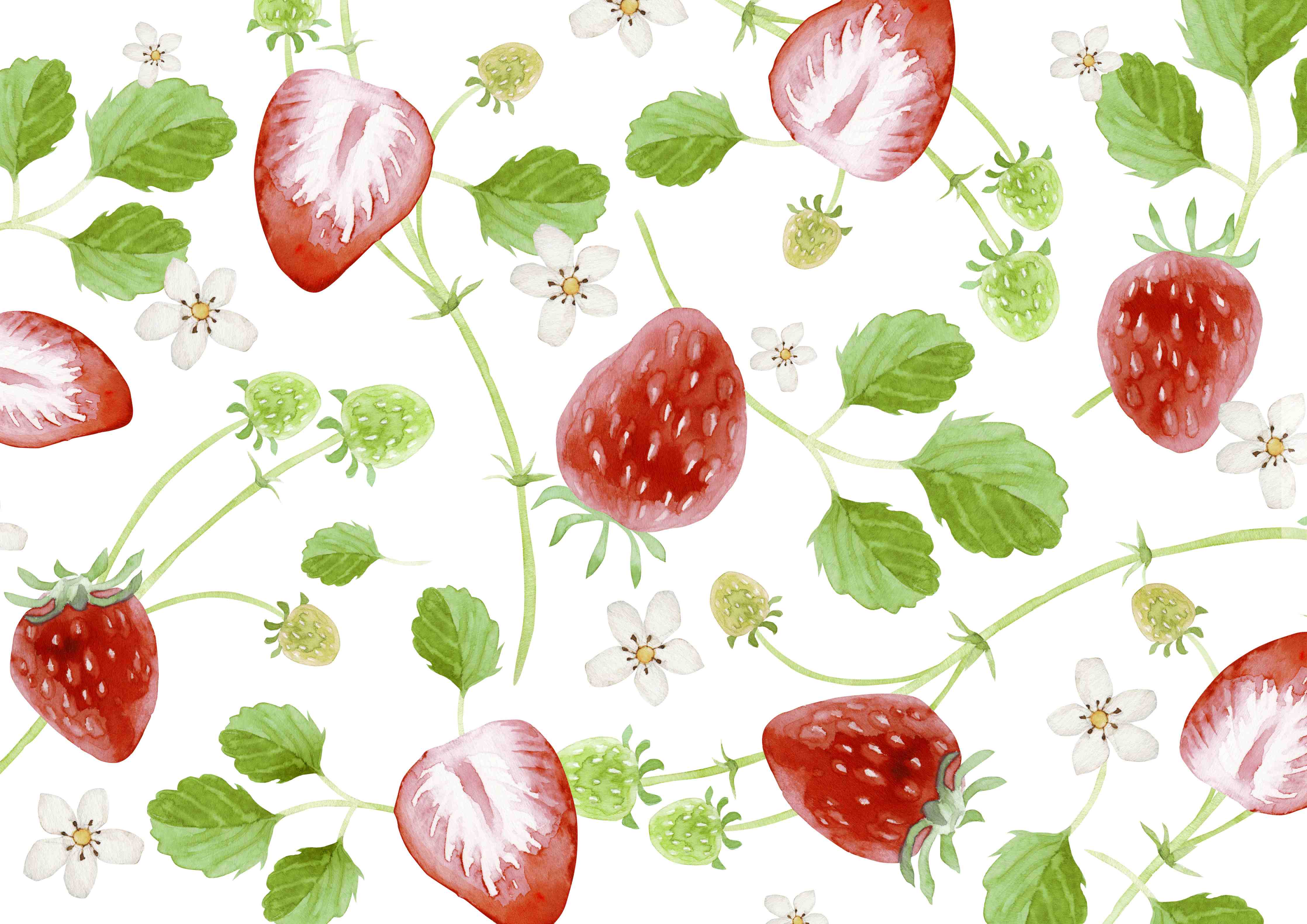 Große Wandbilder-Aquarell Erdbeeren Hintergrund